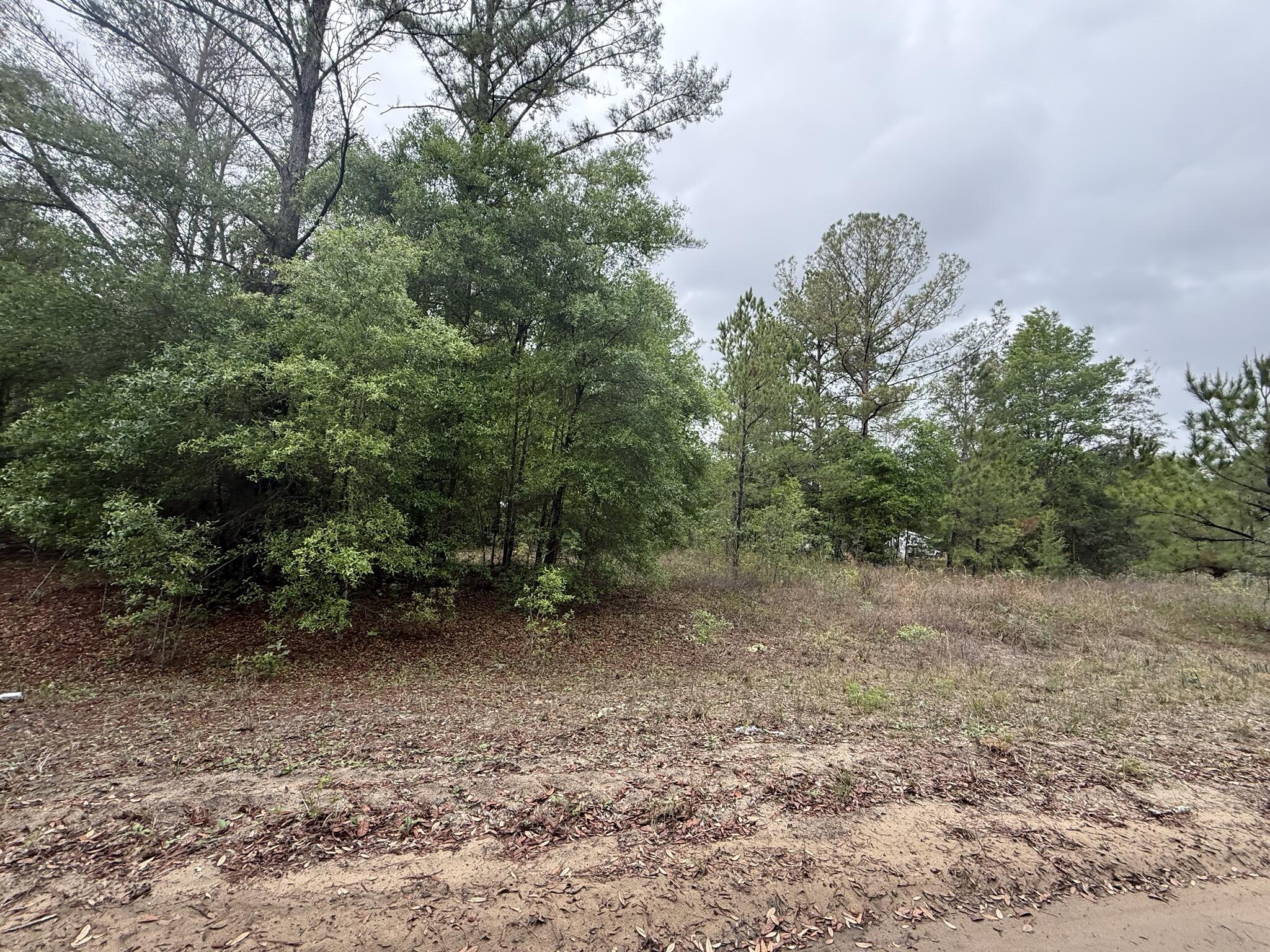 Tbd Maltas Avenue Property Photo 2