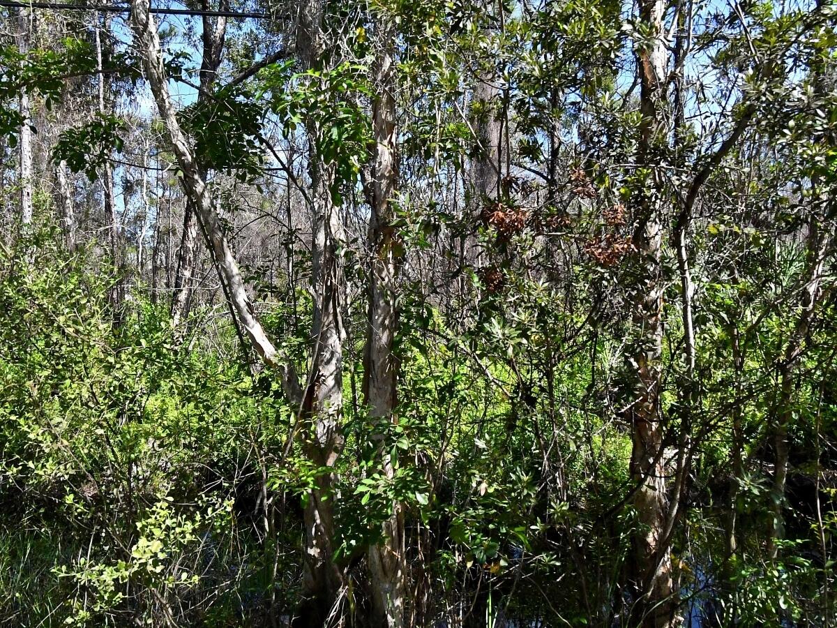-- Dyer Road Property Photo 3