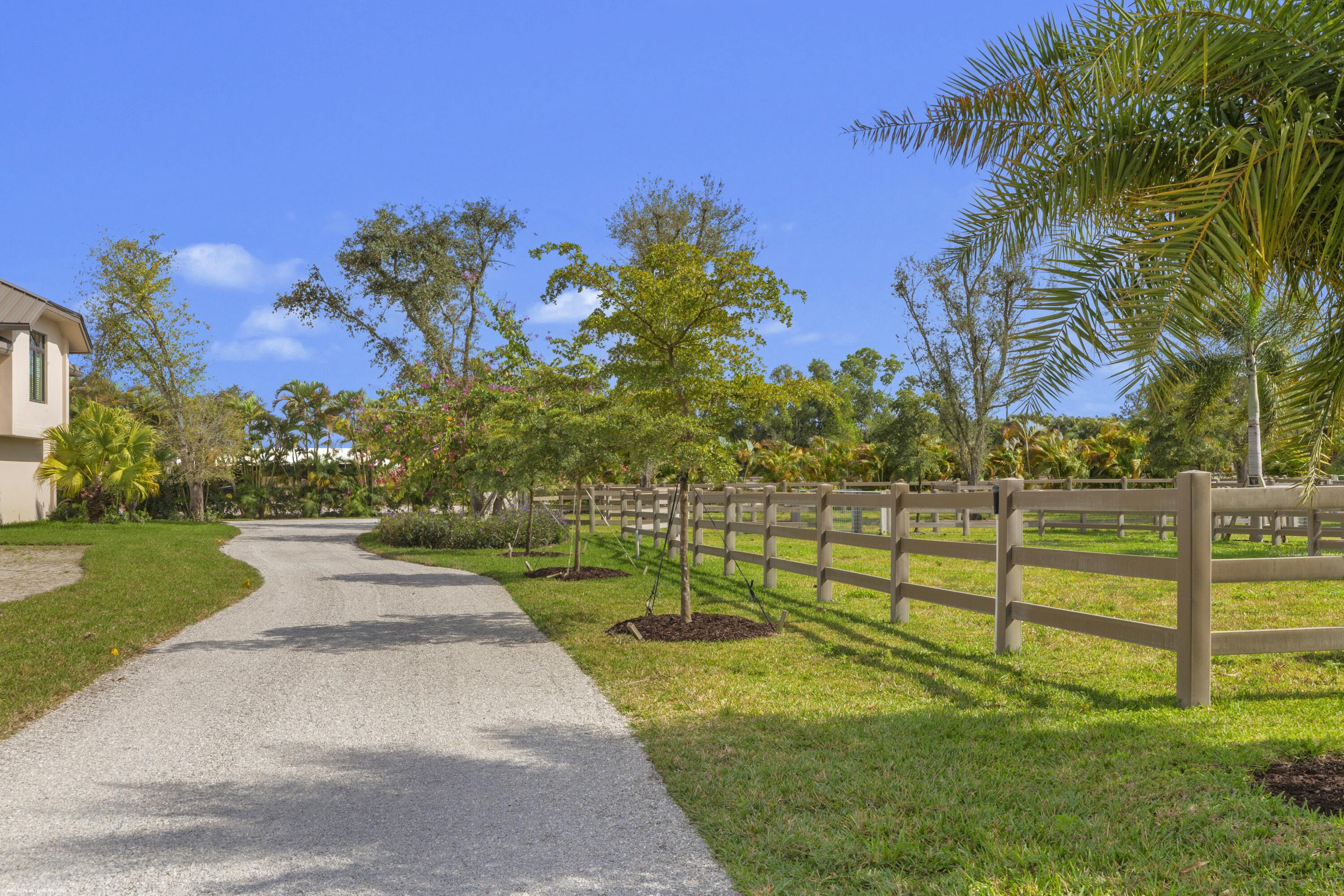 16219 Hollow Tree Lane Property Photo 15