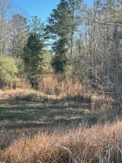 5123 Elmore Road Property Photo 9