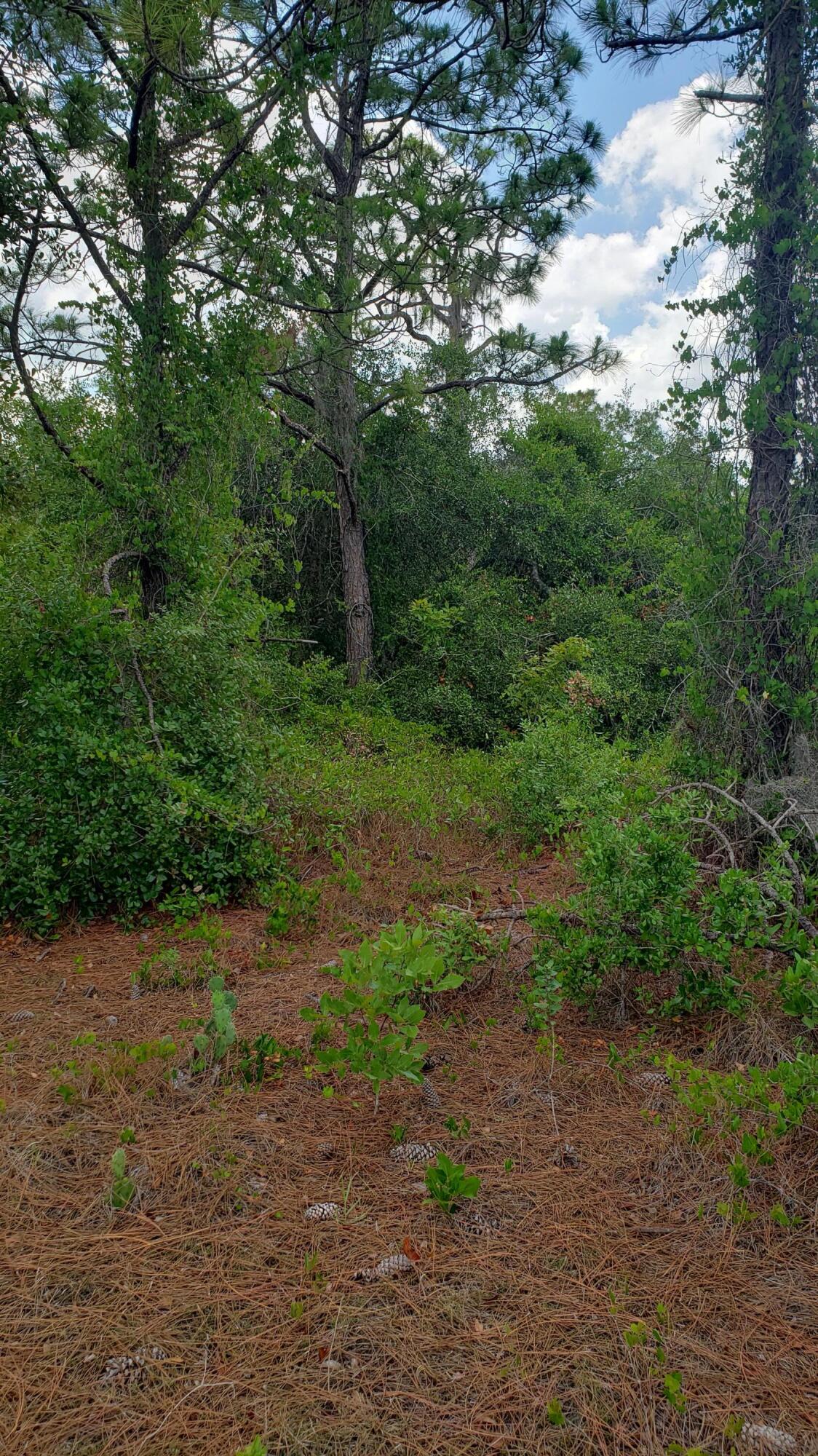 932 Island Parkway Ne Property Photo 7