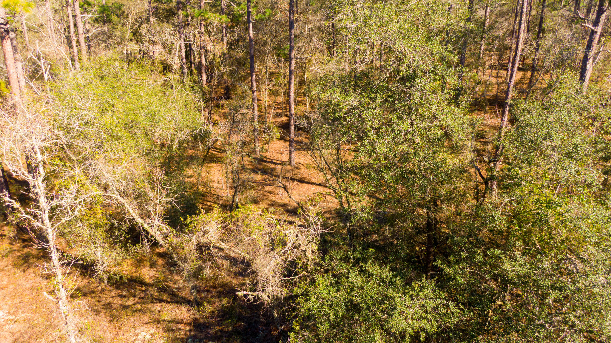 0000 Sw Commodore Road Property Photo 3