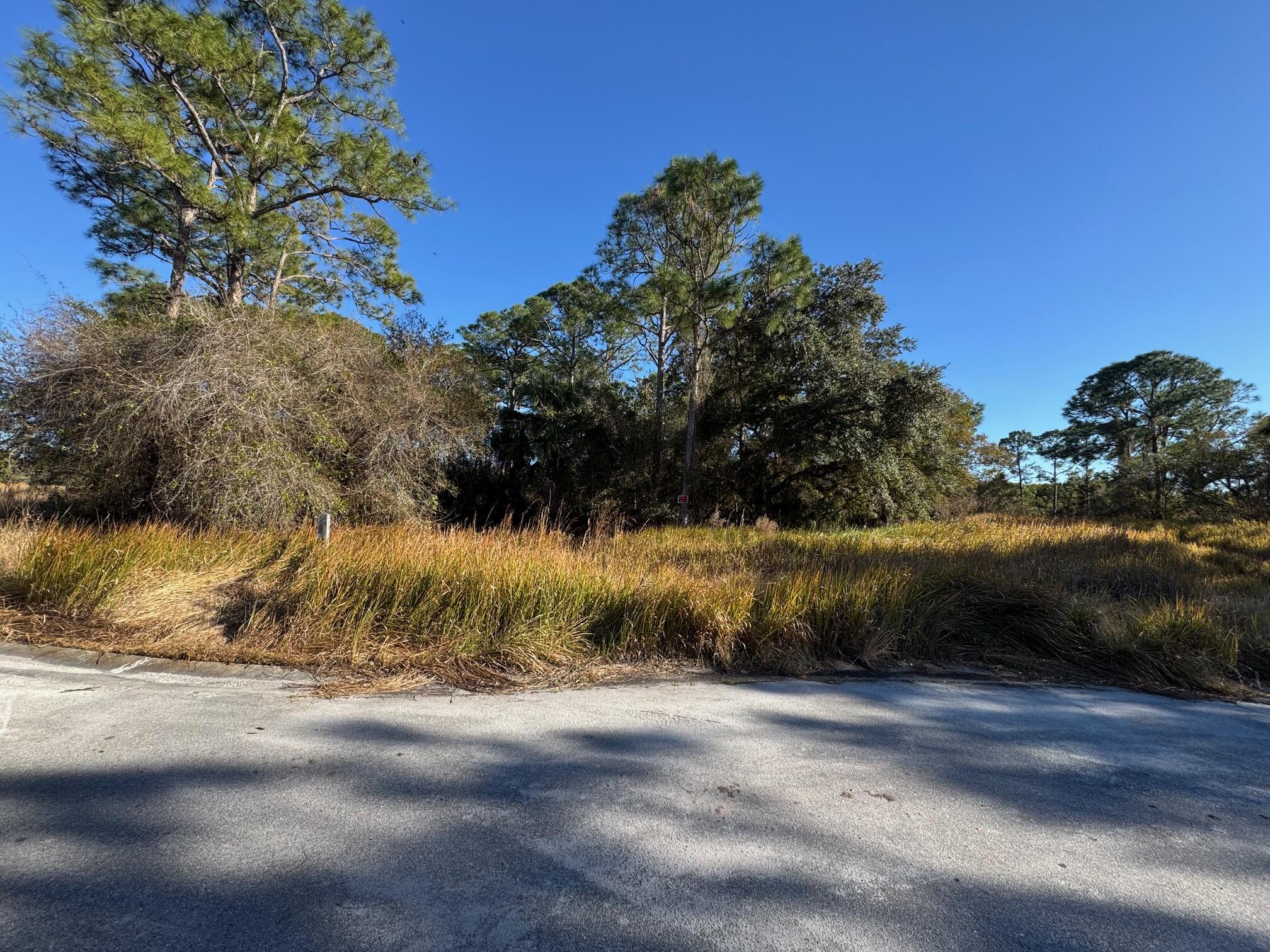 10653 Lighter Wood Lane Property Photo 1