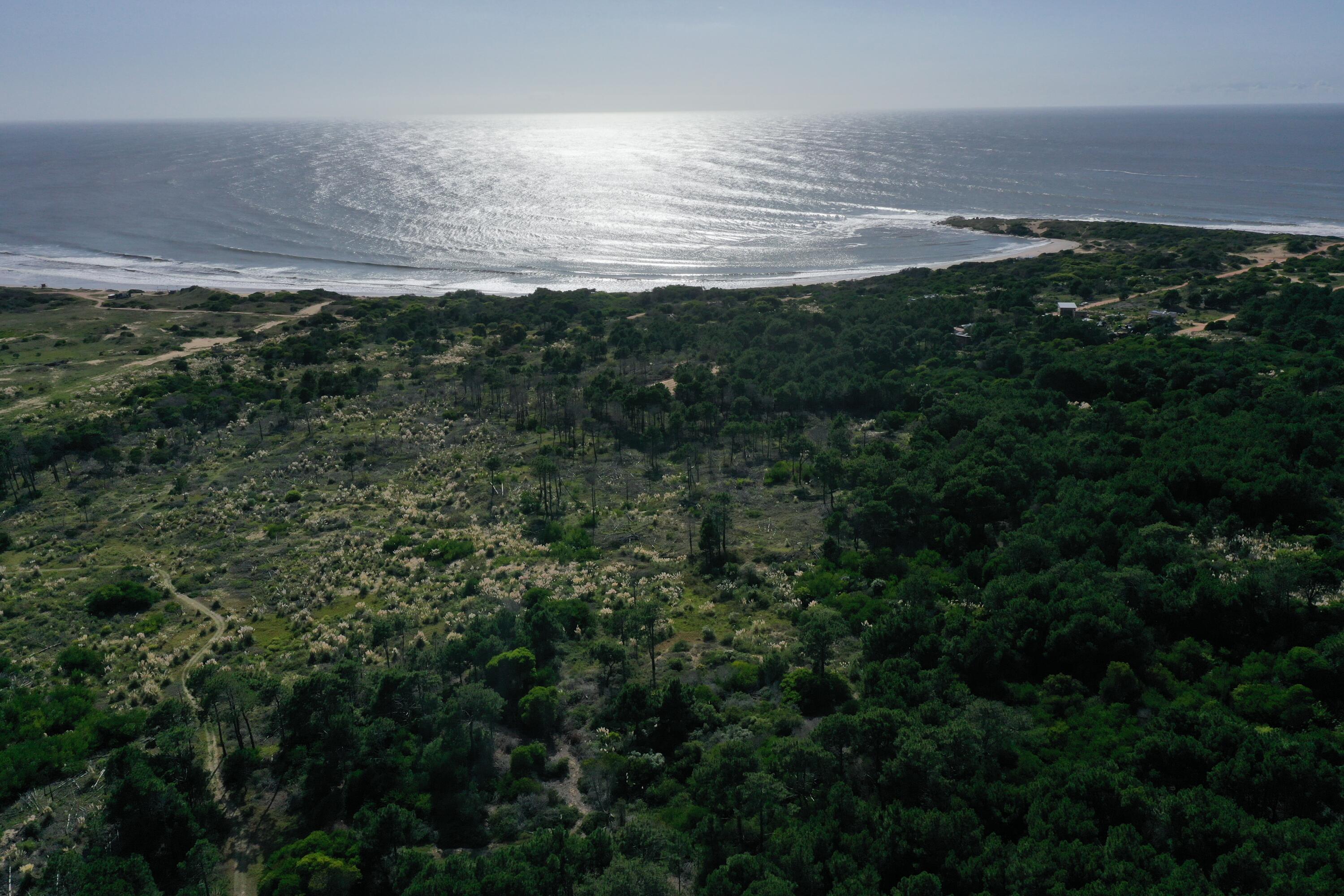 54209 Punta Del Diablo Property Photo 19