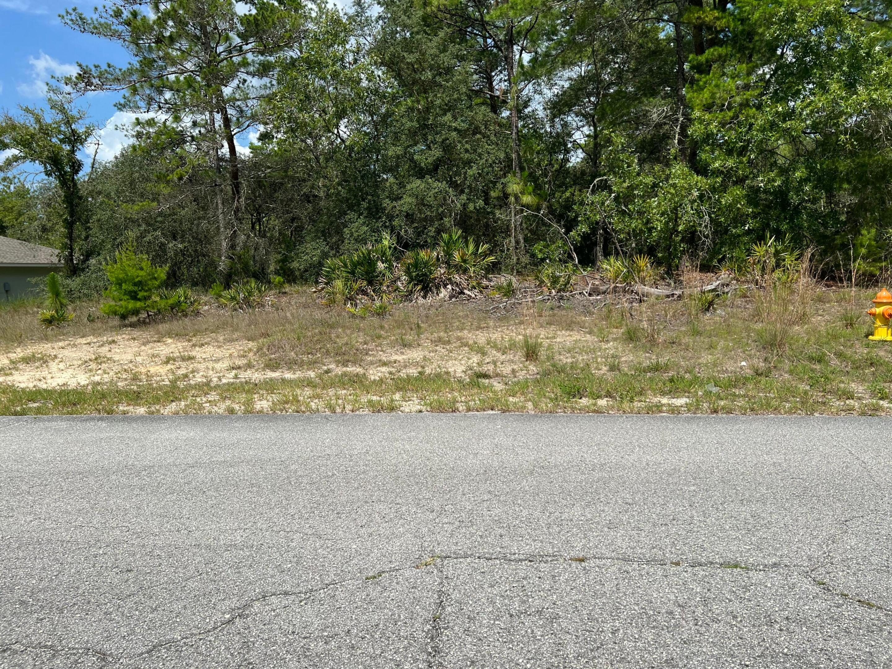 6876 N Sandborn Loop