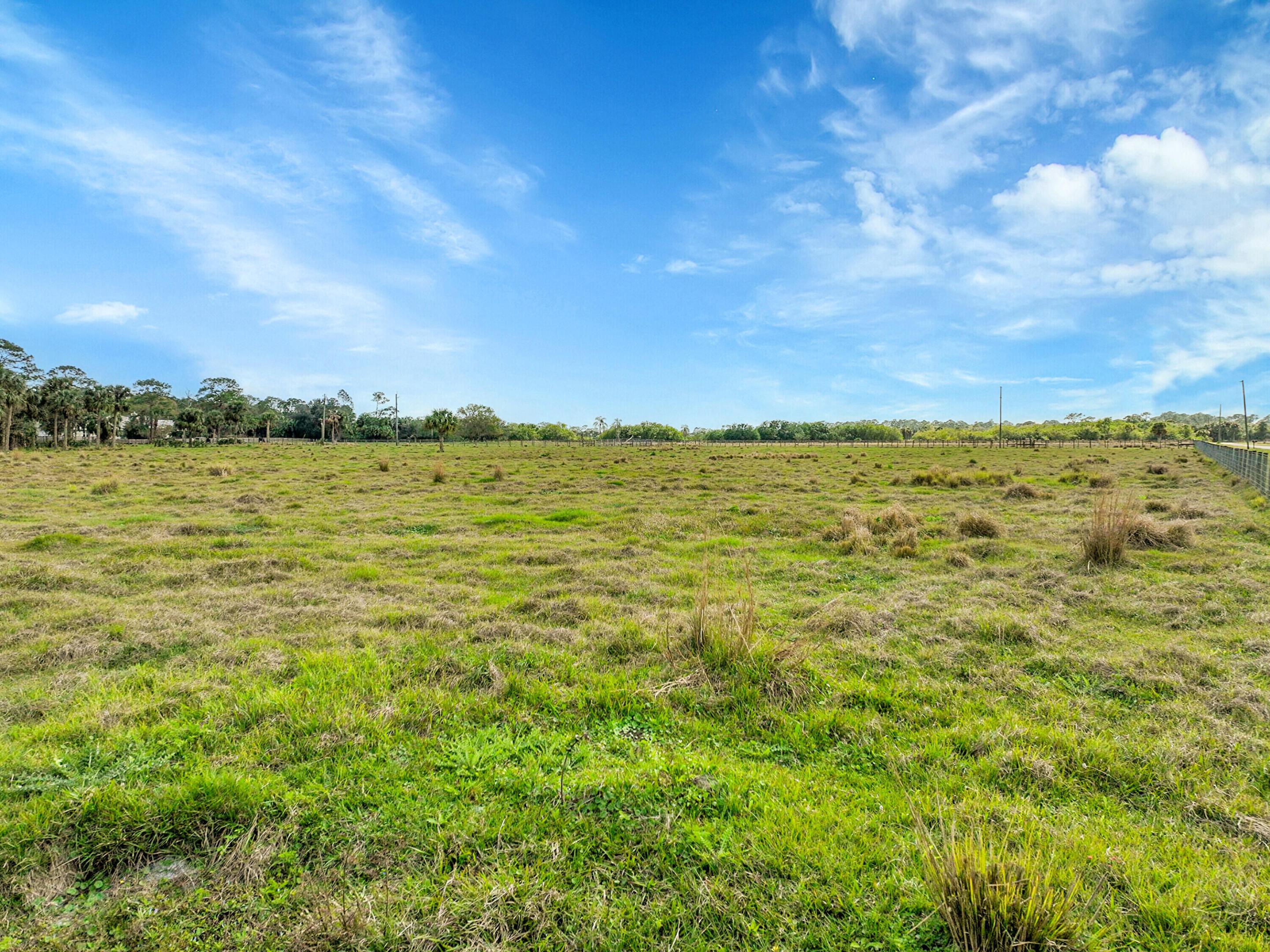 3901 Wild Turkey Trail Trail Property Photo 35
