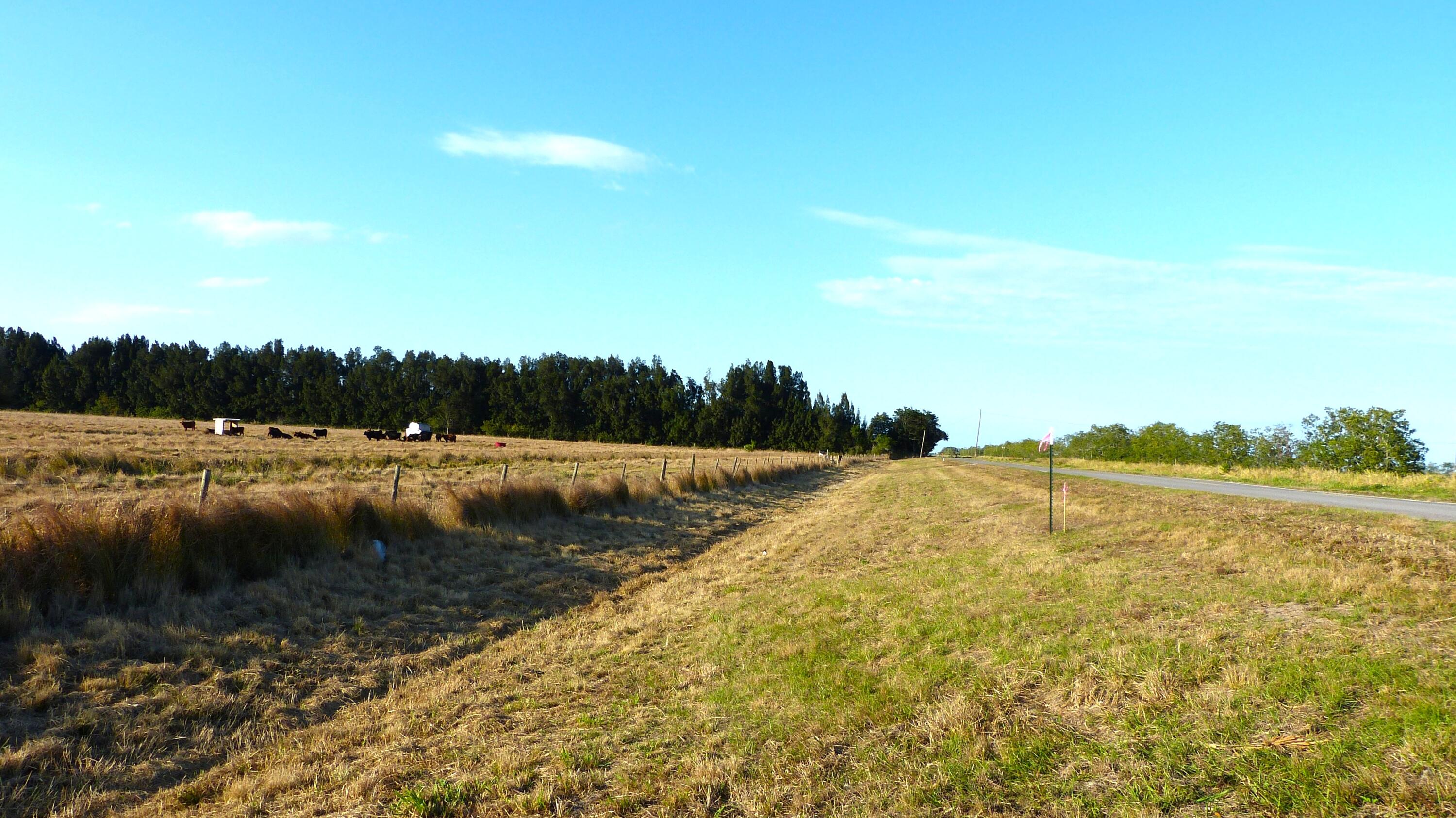 Tbd S Header Canal Road Property Photo 3