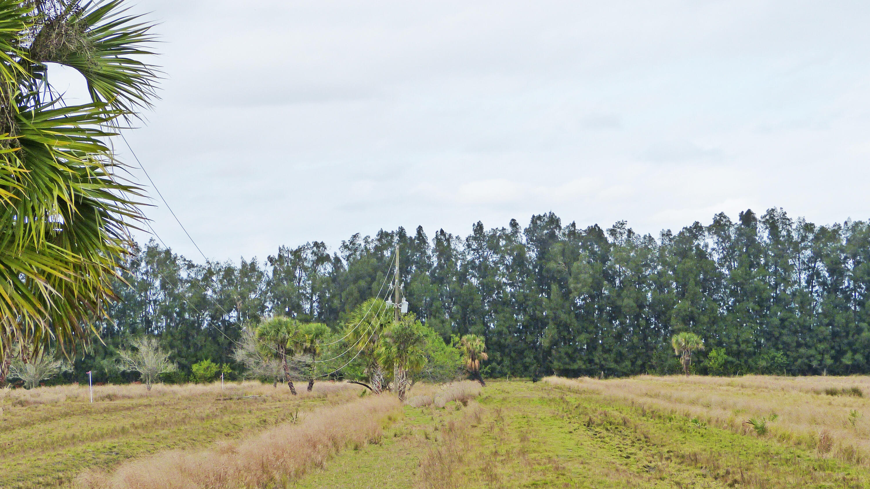 Tbd S Header Canal Road Property Photo 5