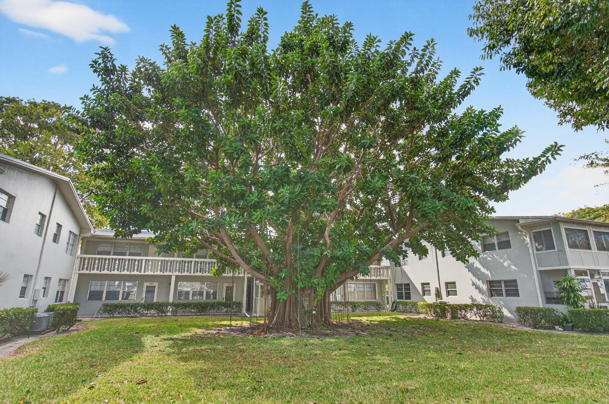 247 Ventnor R Property Photo 45
