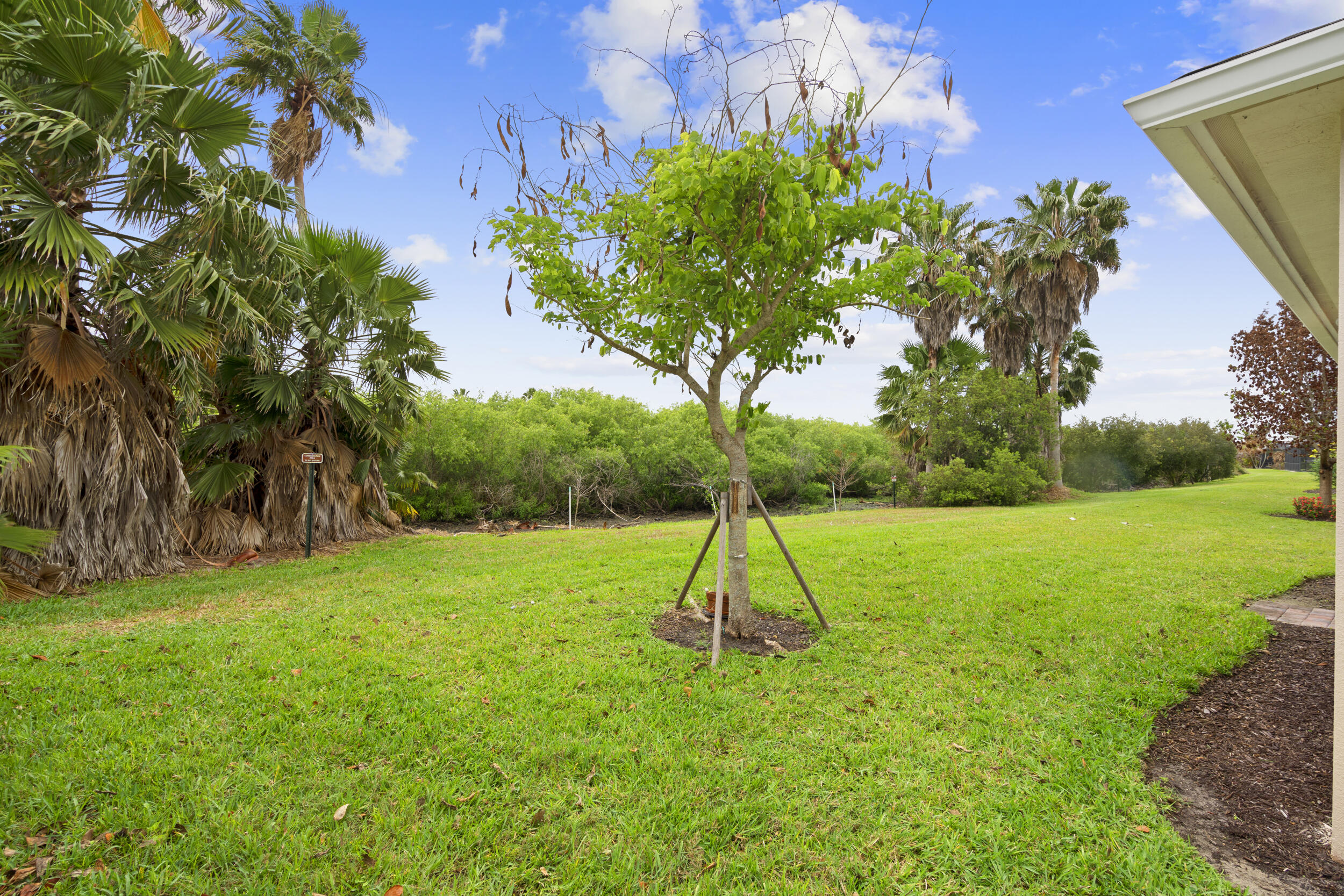 10396 Sw Ligustrum Drive Property Photo 55