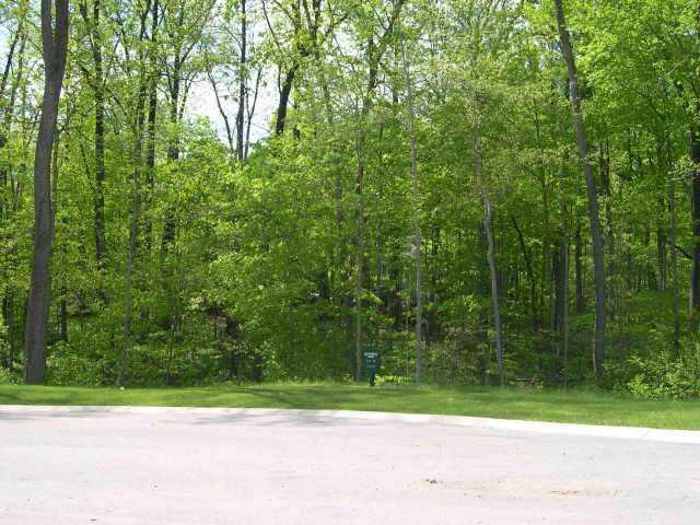 9308 Shady Bend Court Property Photo 1