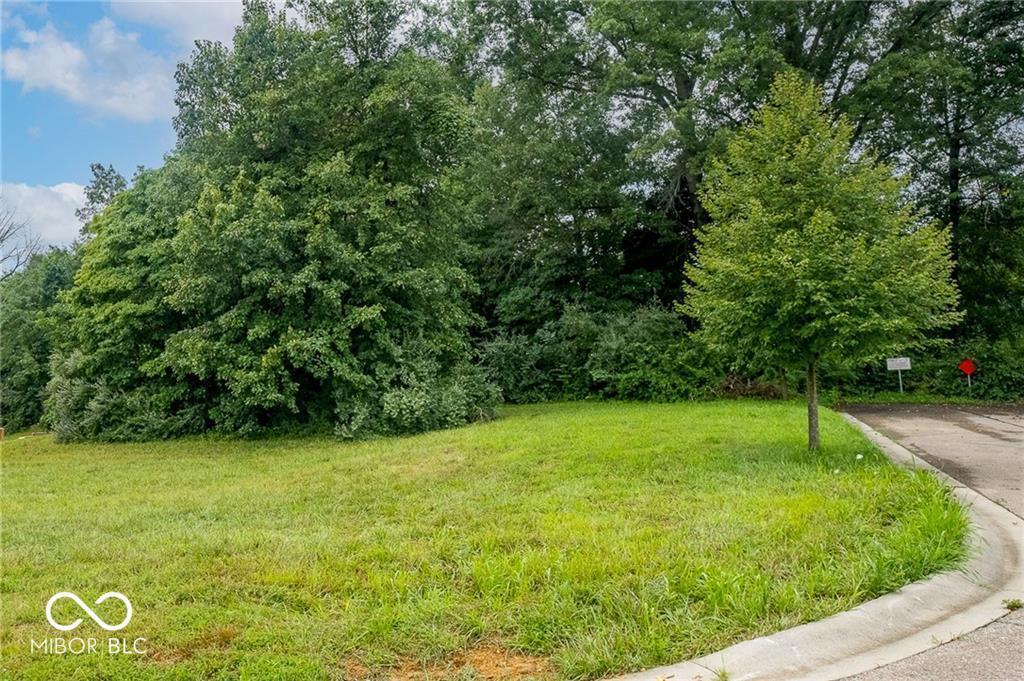 Lot 3 Brookfield Drive Property Photo 1