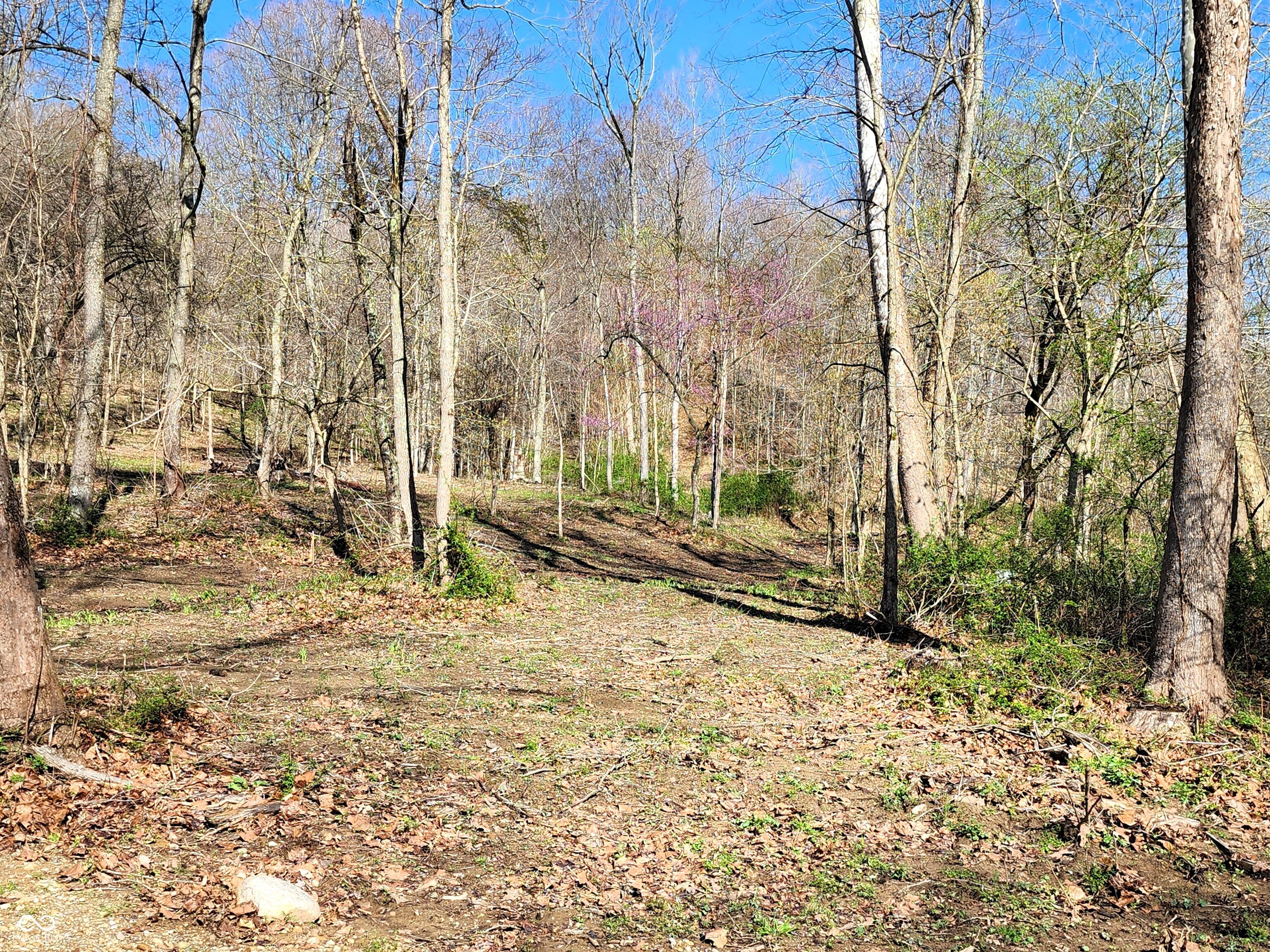 0 Goat Hollow Estates Lot 4 Property Photo 1