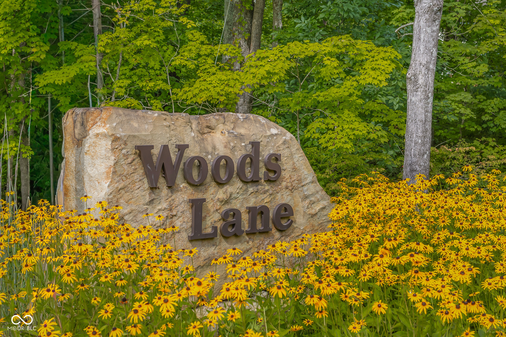 Lot 1 Woods Lane Property Photo 1
