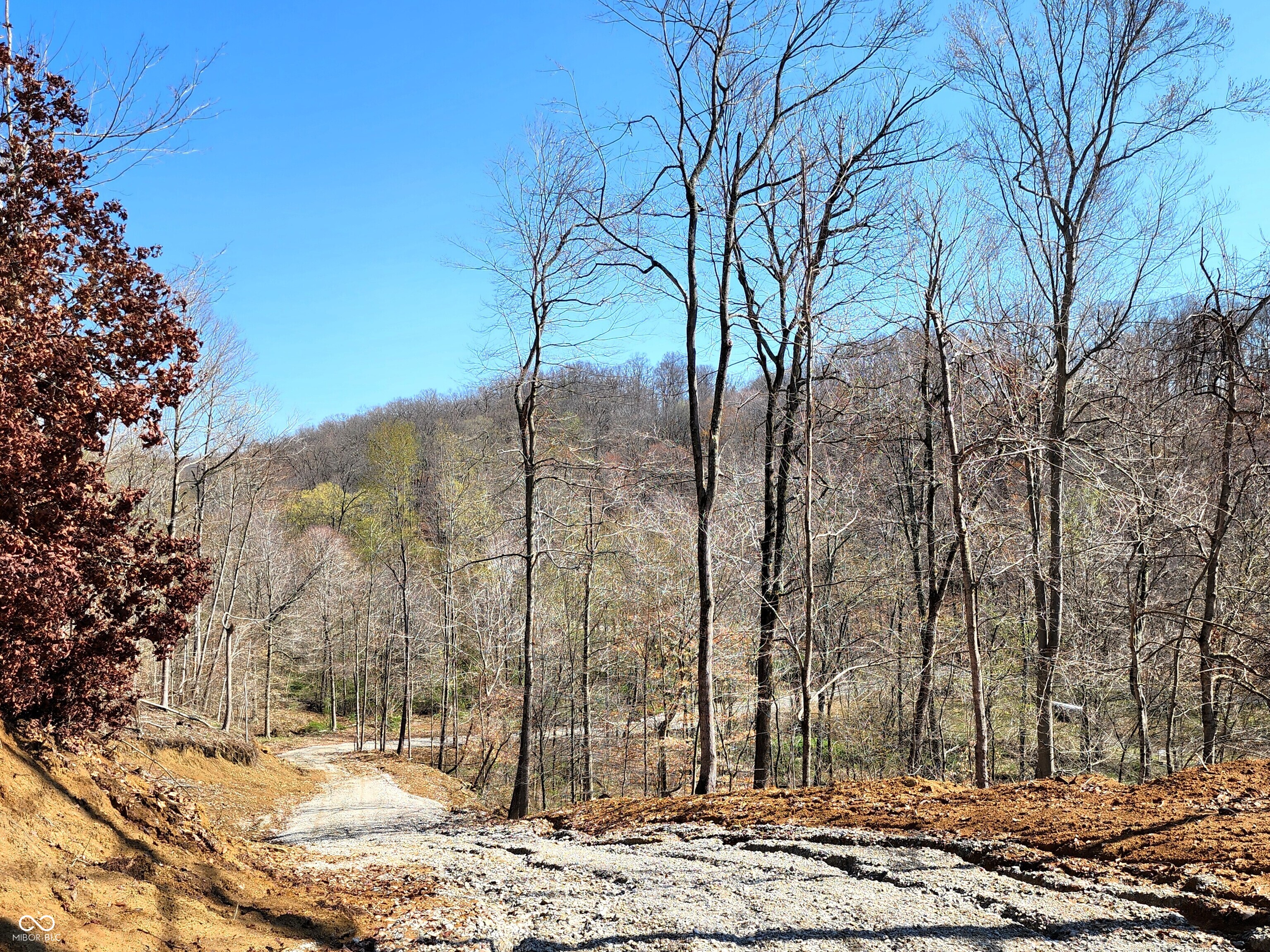 0 Goat Hollow Estates Lot 1 Property Photo 1