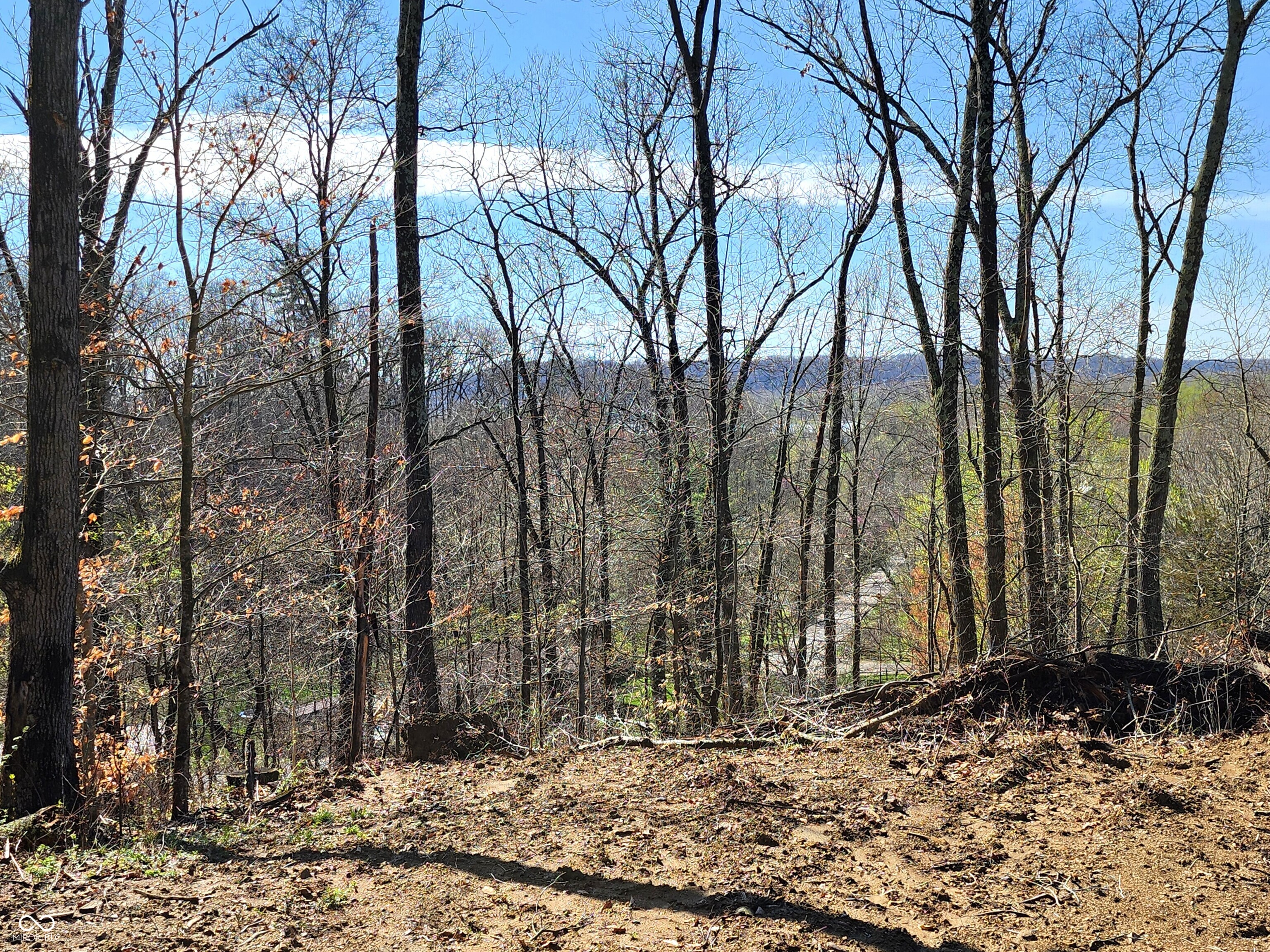 Lot 5 Goat Hollow Estates Property Photo 1