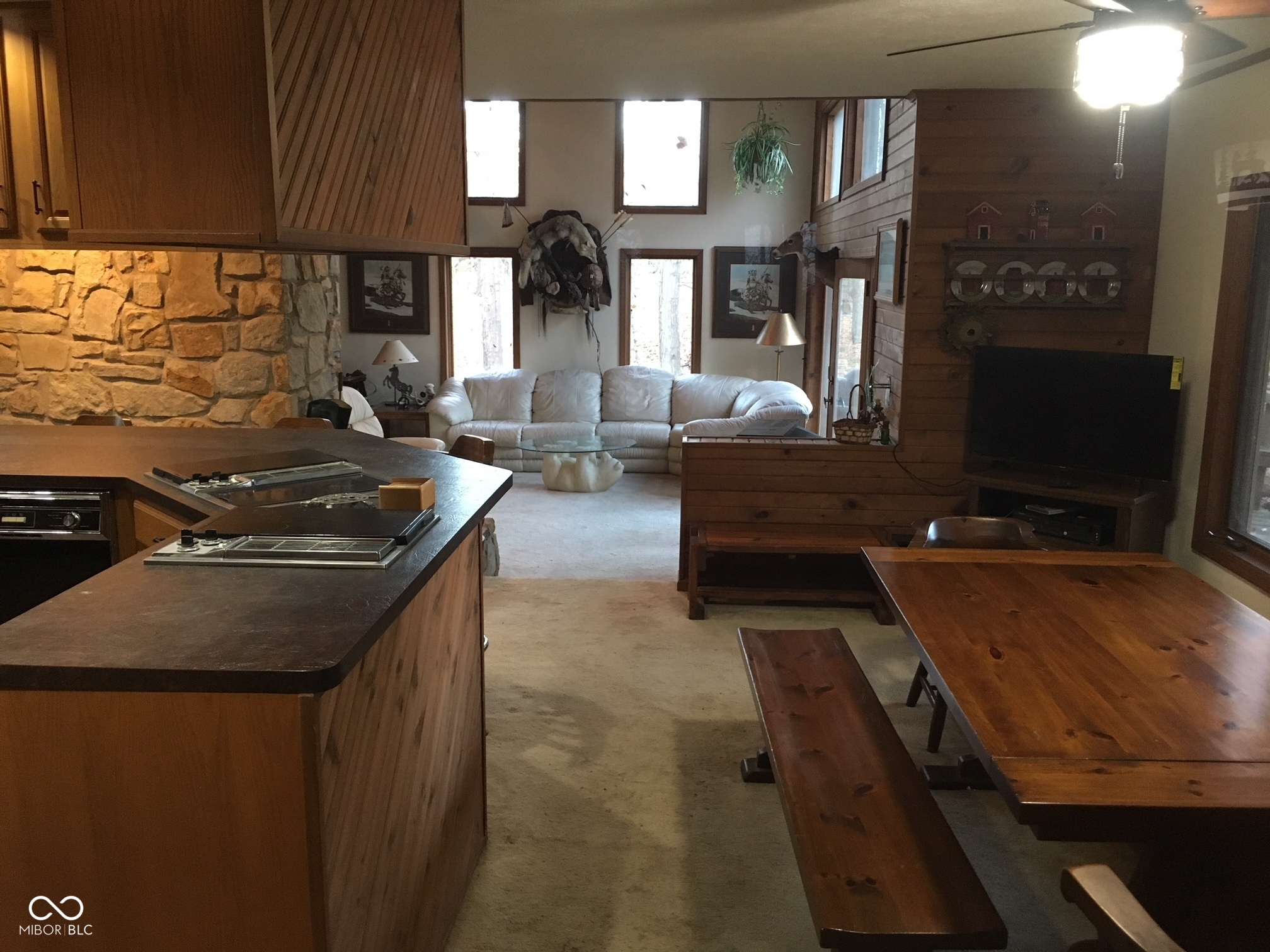 22035172 Property Photo 7