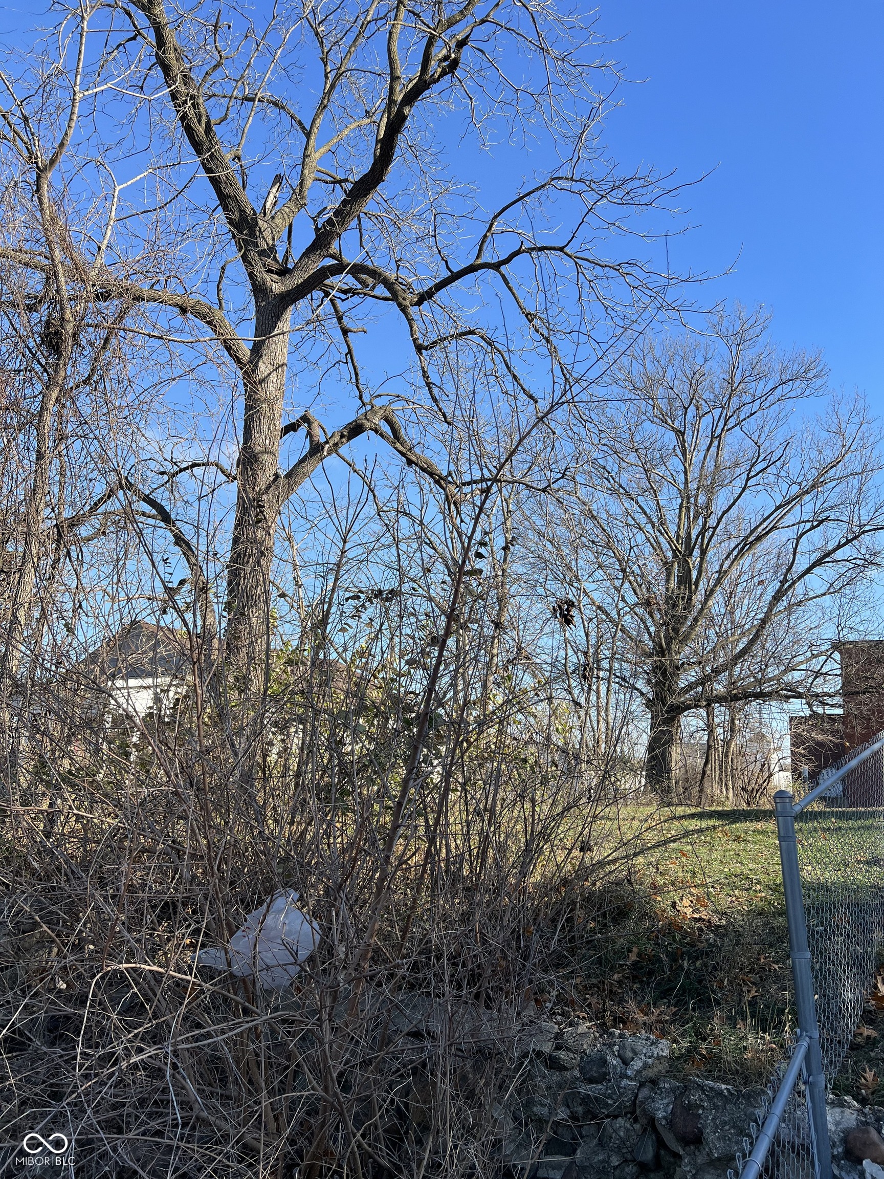 2057 Caroline Avenue Property Photo 1
