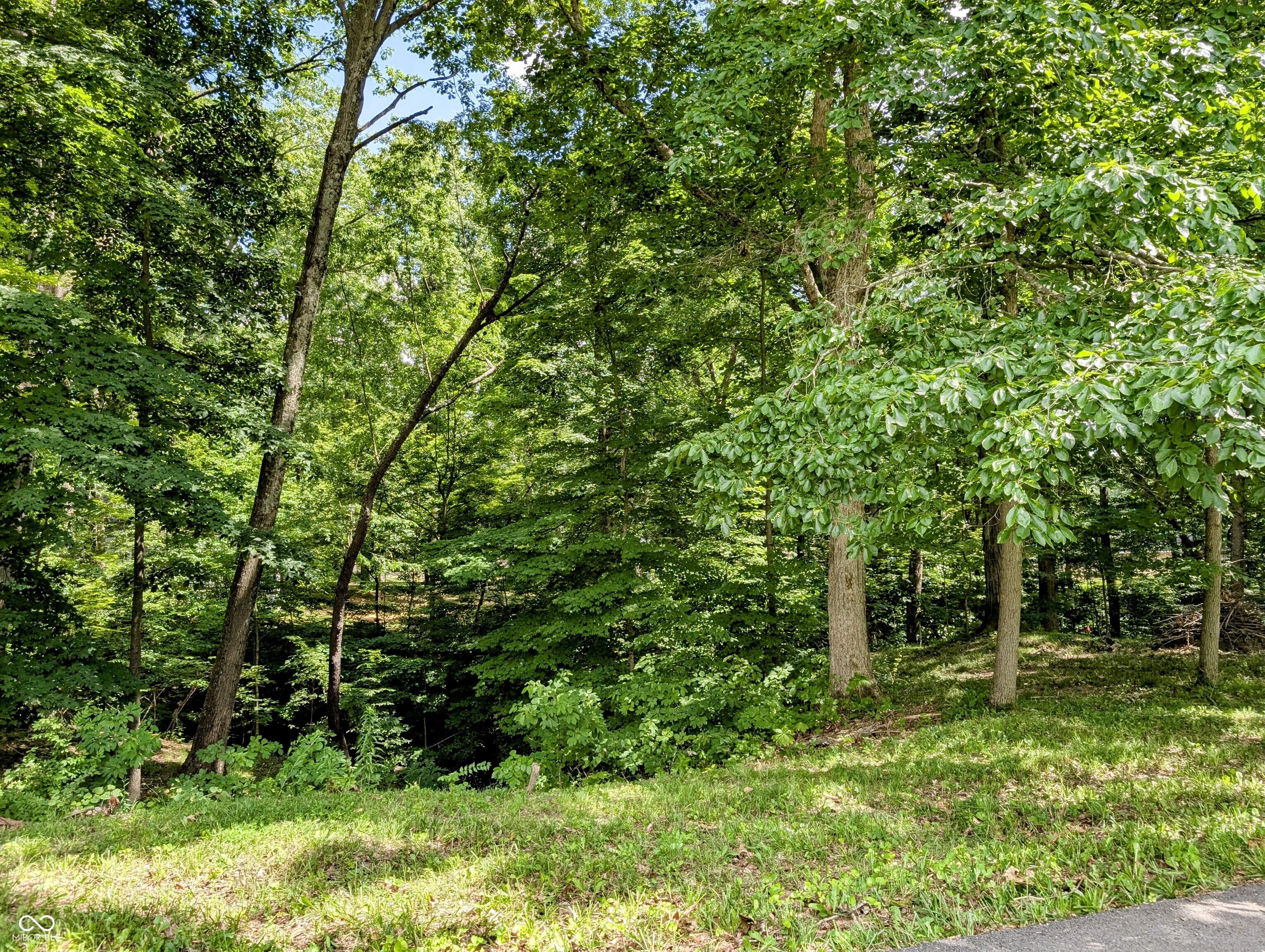 0 S Cove Road Property Photo 1