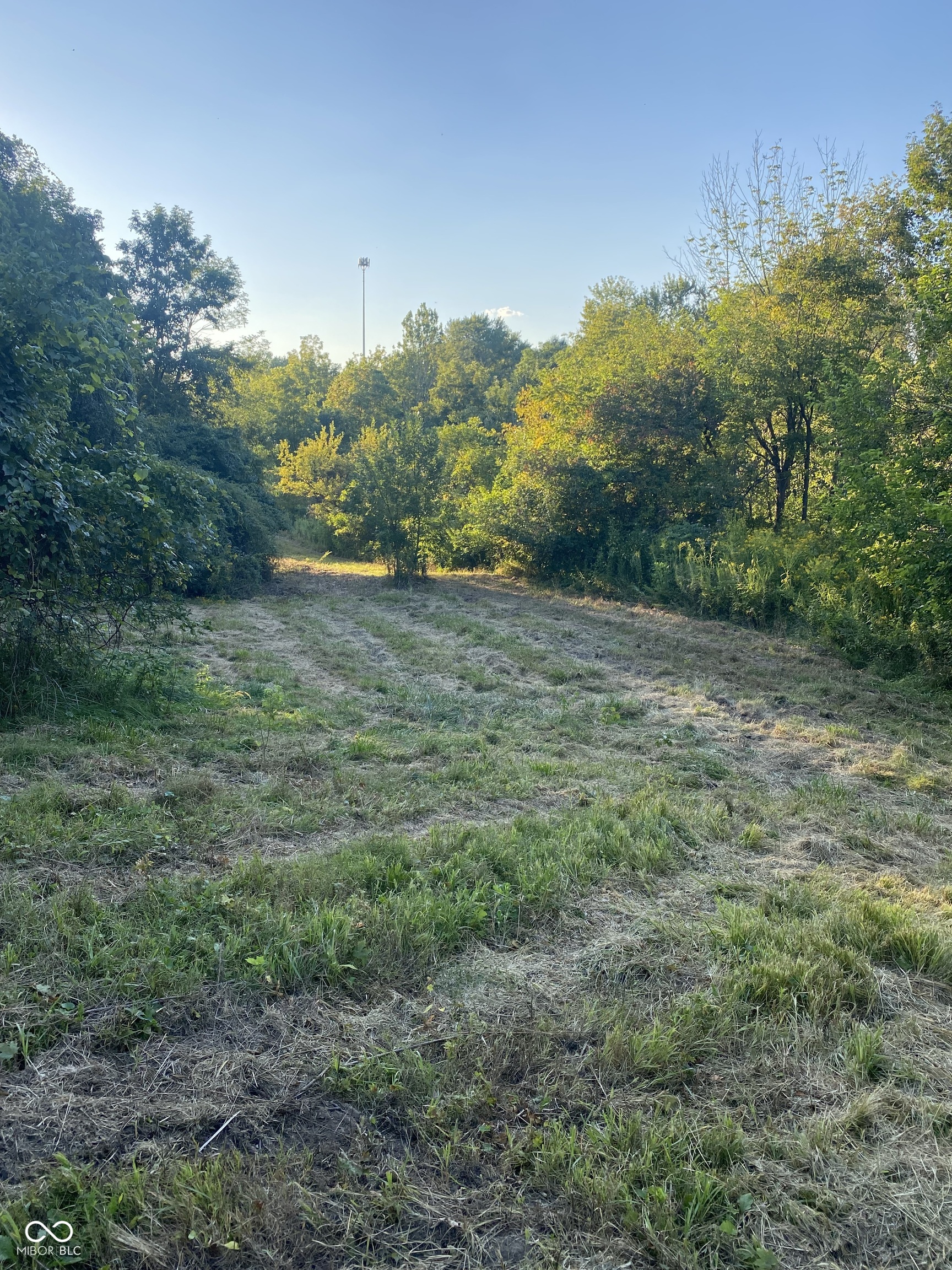 0 E 236 Highway Property Photo 1