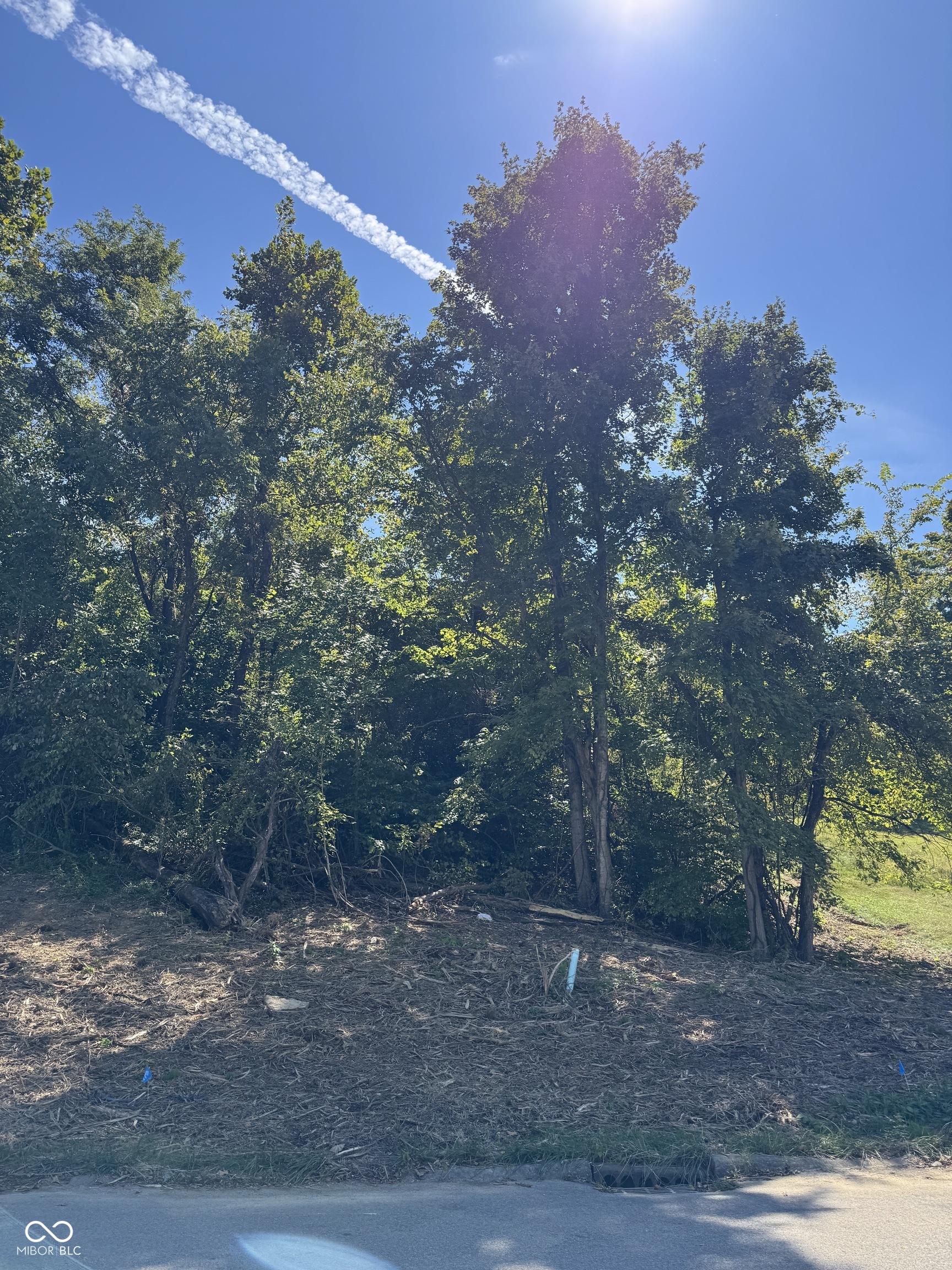 732 W Thornridge Way Property Photo 1