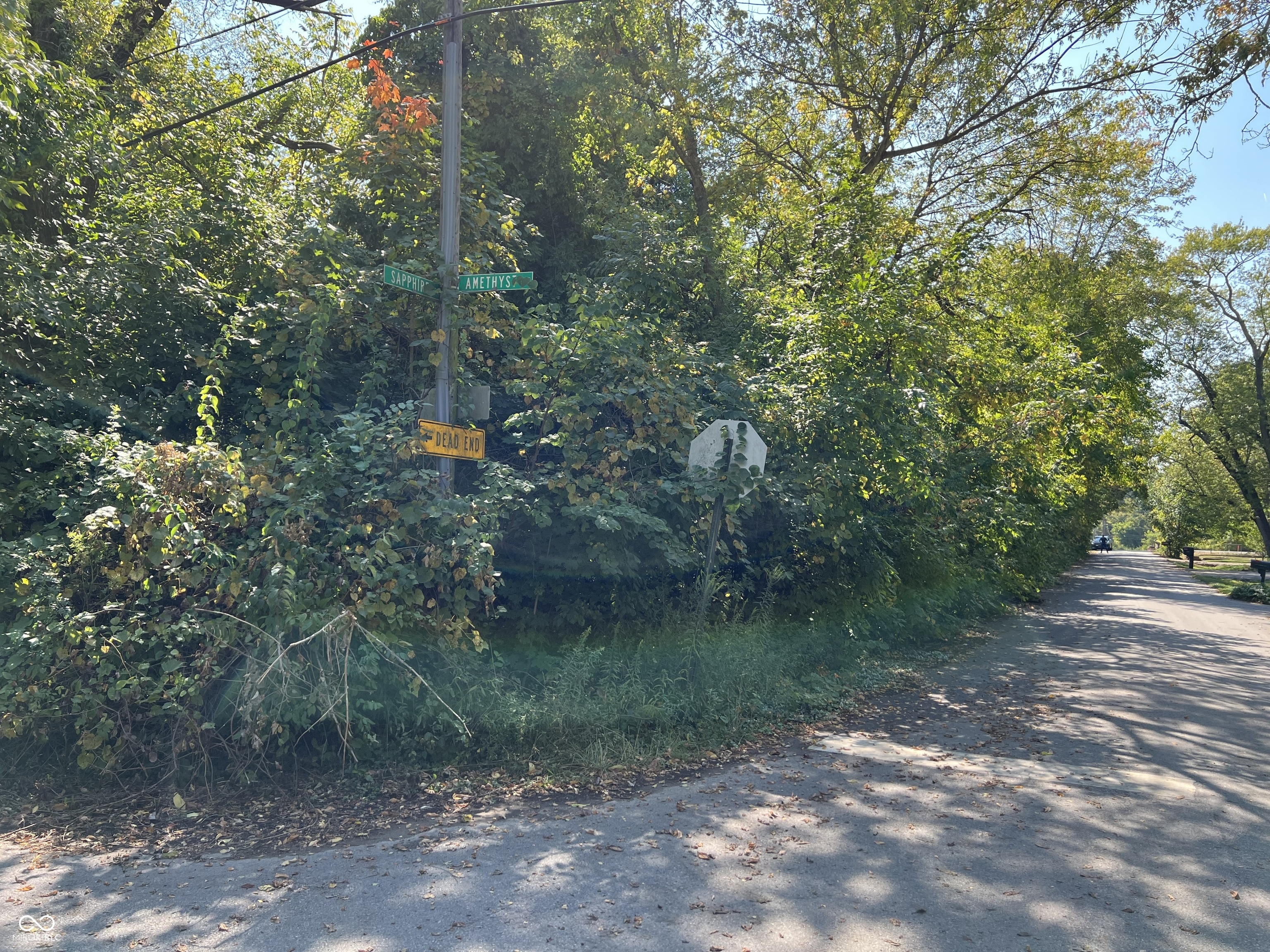 7851 Amethyst Avenue Property Photo 1