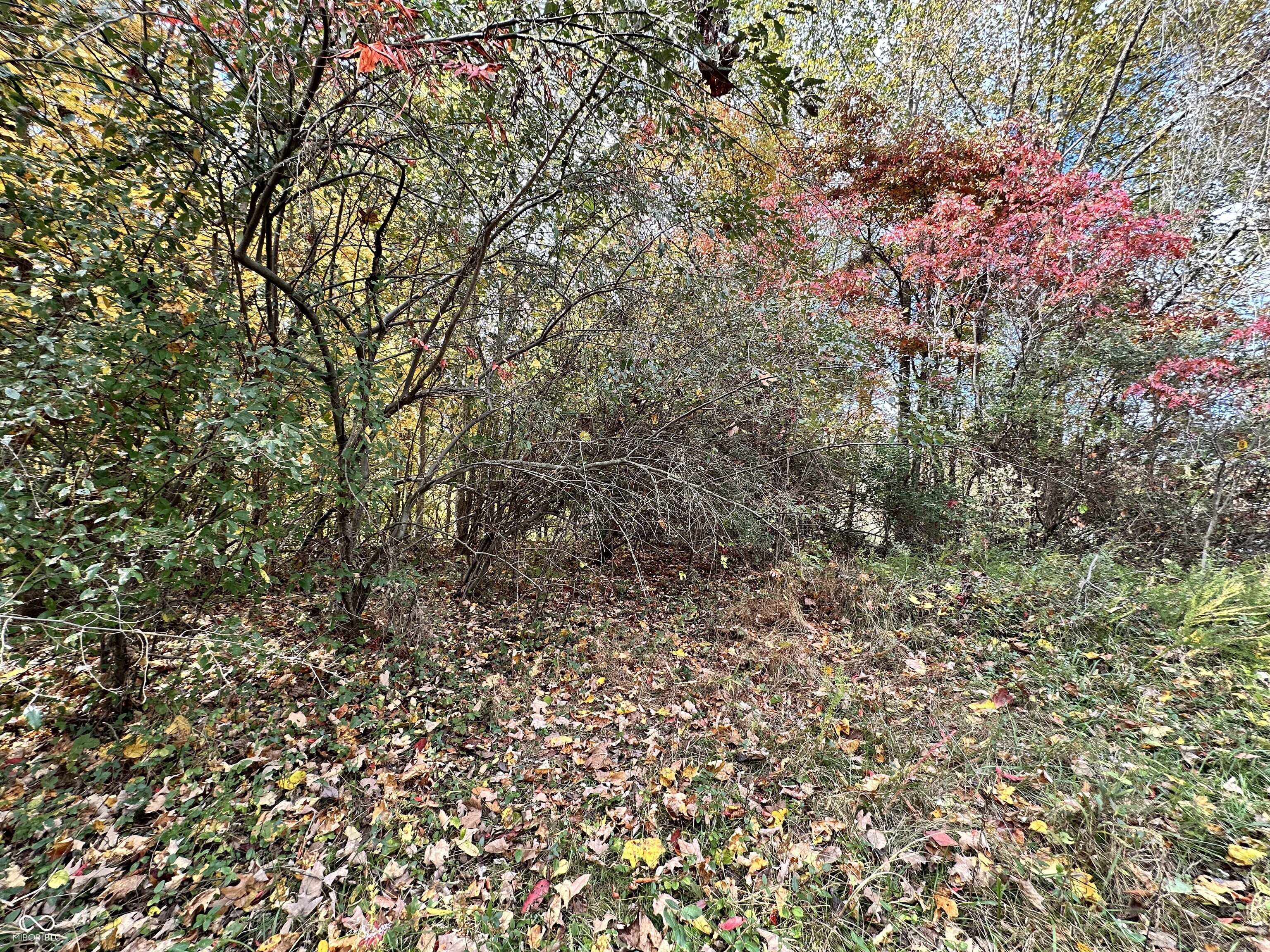 0 Foxcliff East Drive Property Photo 1