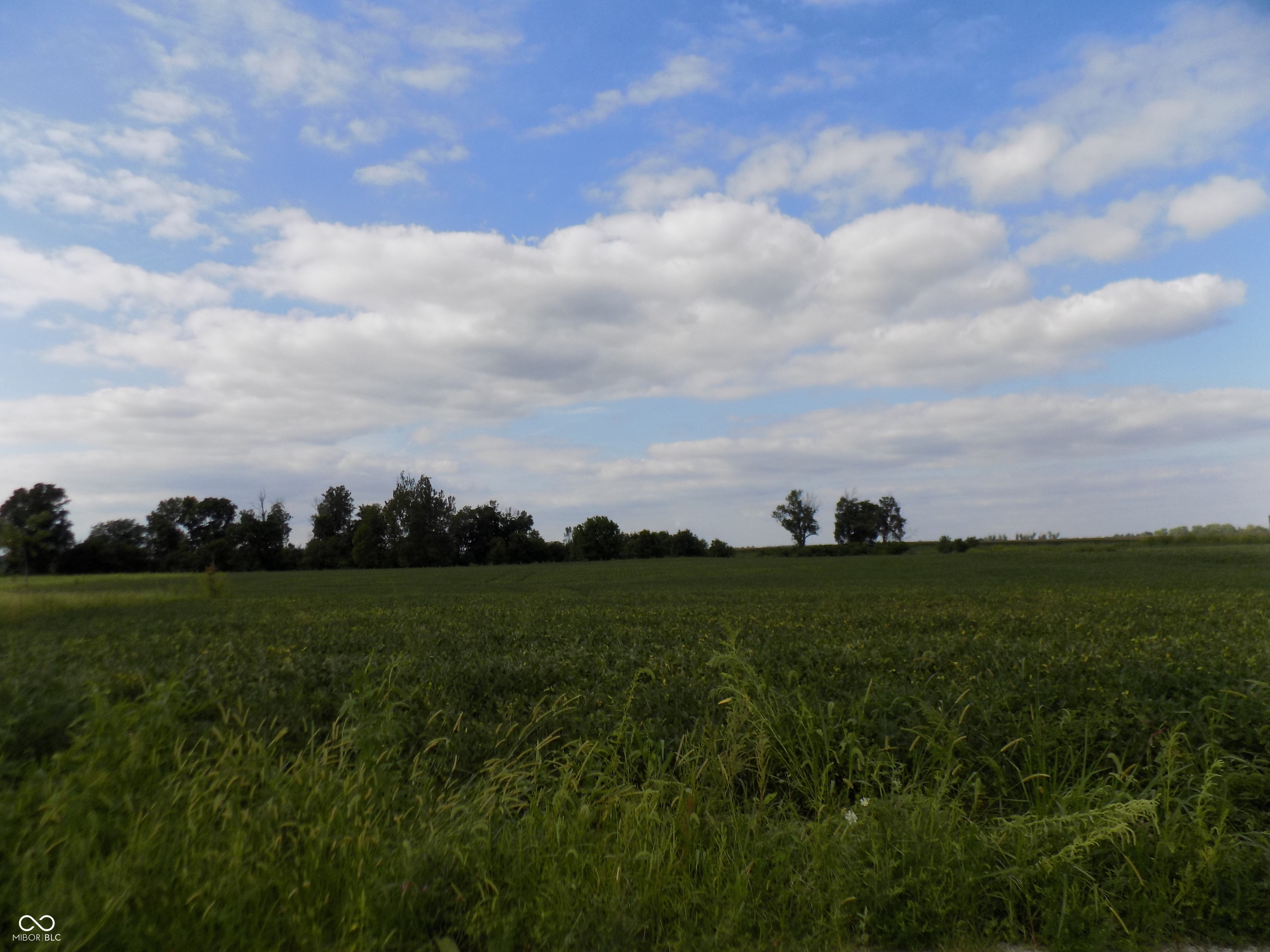 0 Walters Road Property Photo 1