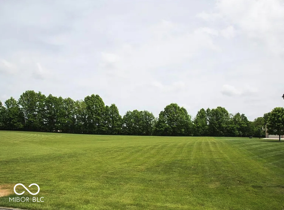 4199 Whitetail Woods Drive Property Photo 1