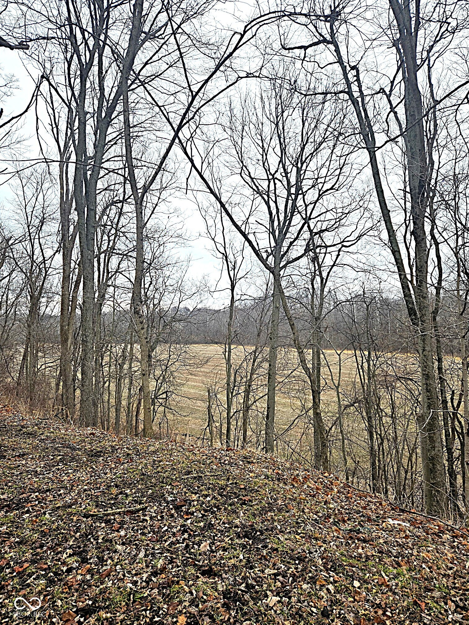 5921 N County Road 500