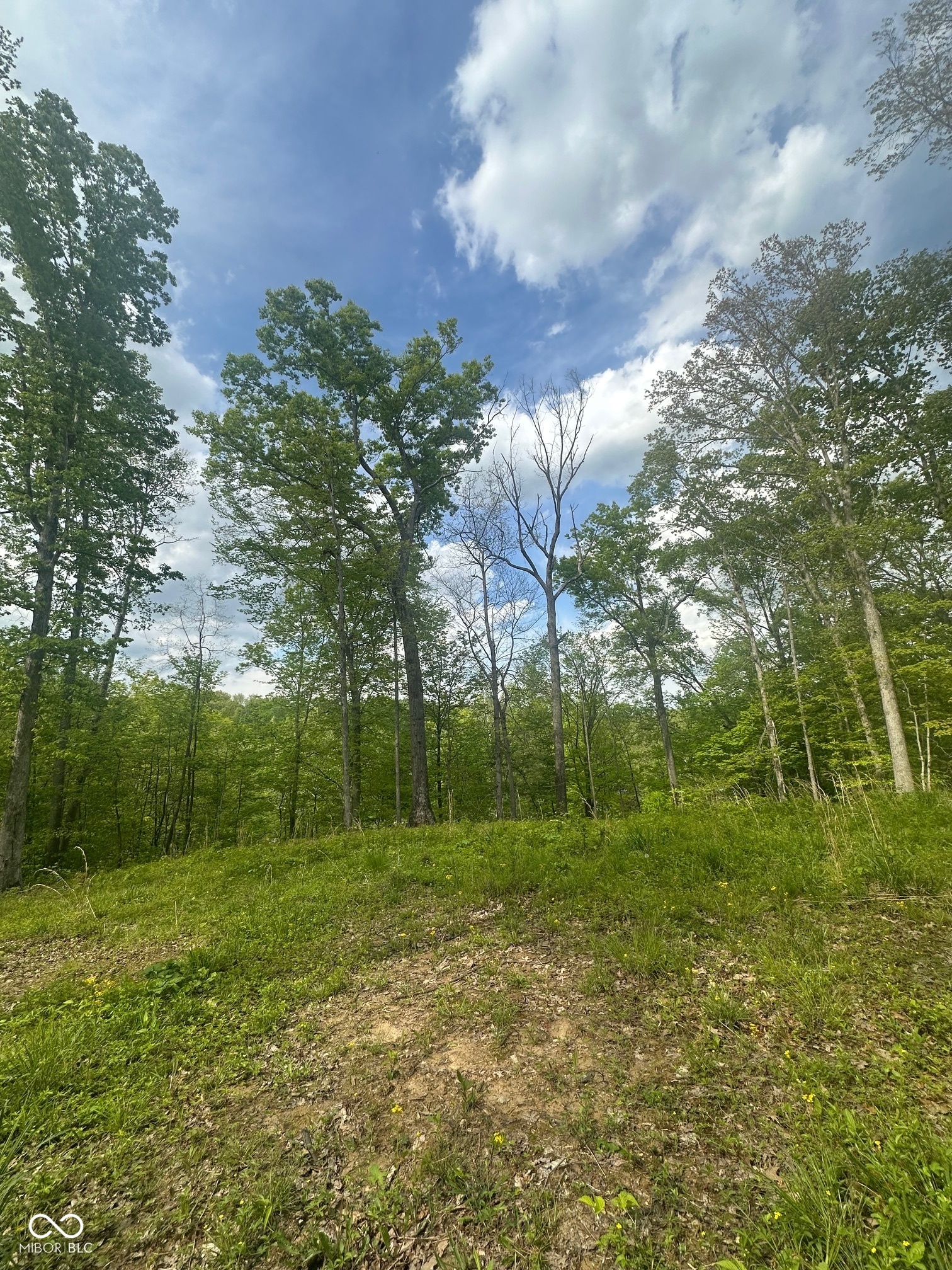 0 N Lasalle Road Property Photo 1
