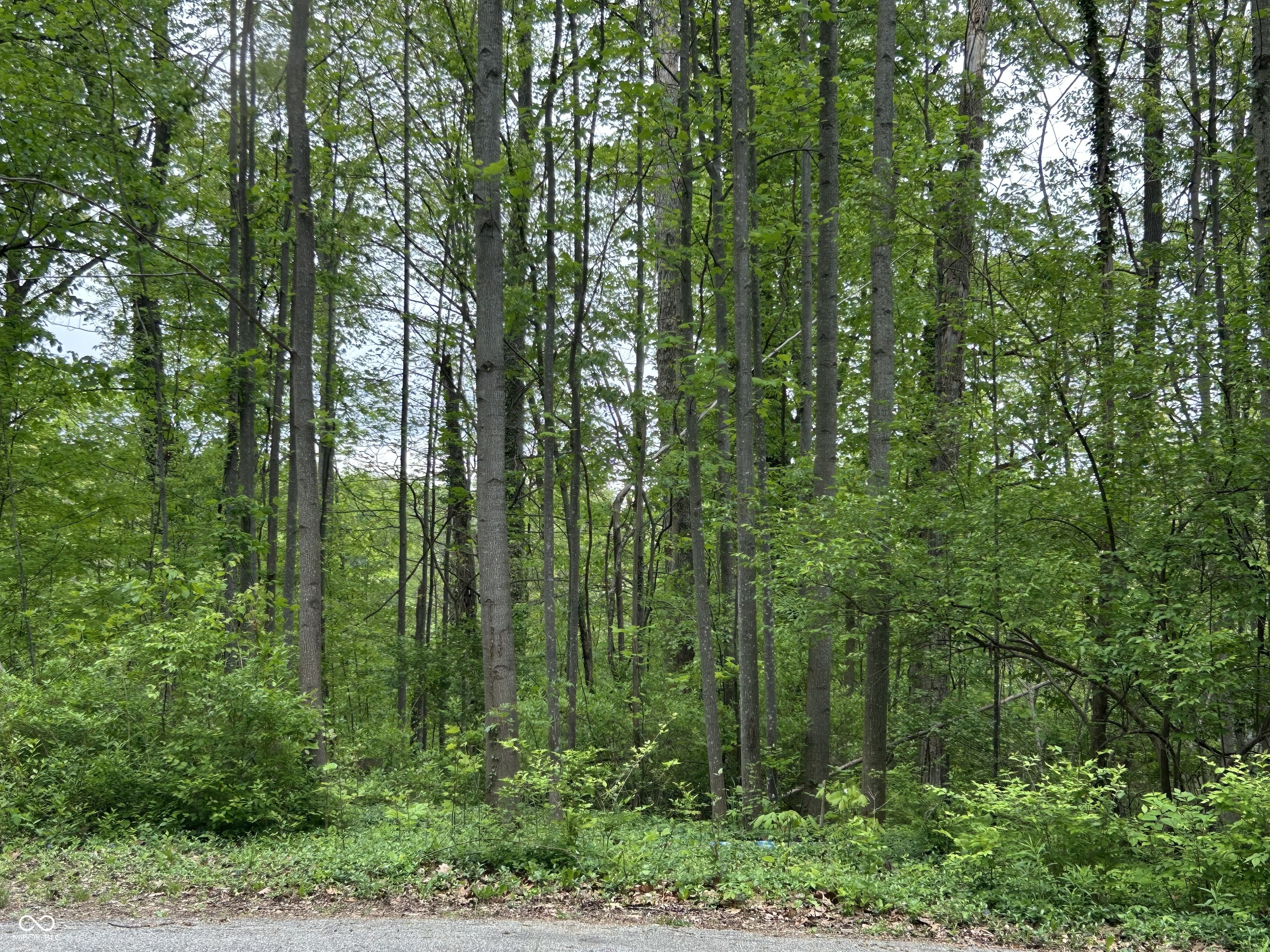 00 Ruby Lane Property Photo 1
