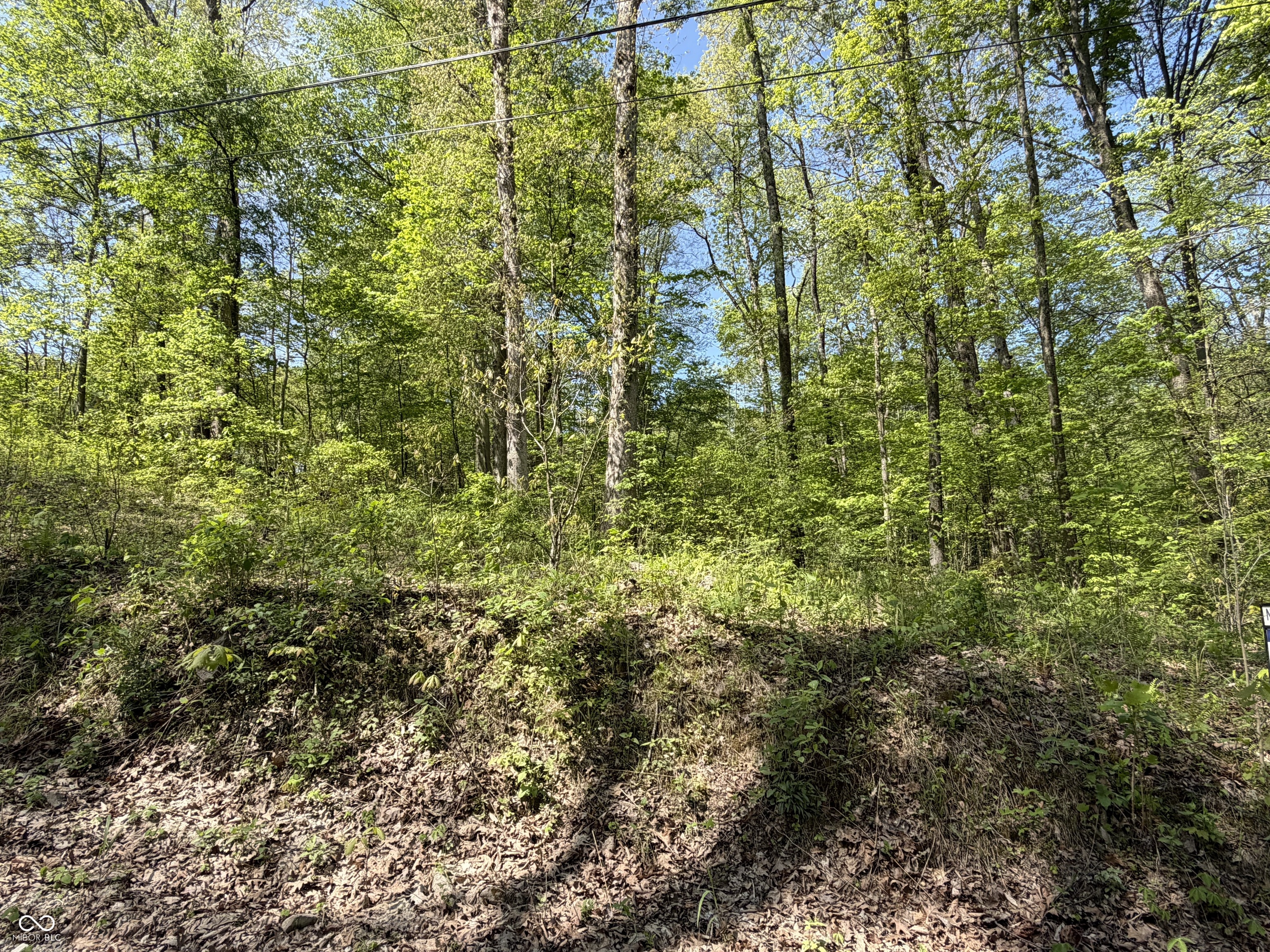00 Straight Line Road Property Photo 1
