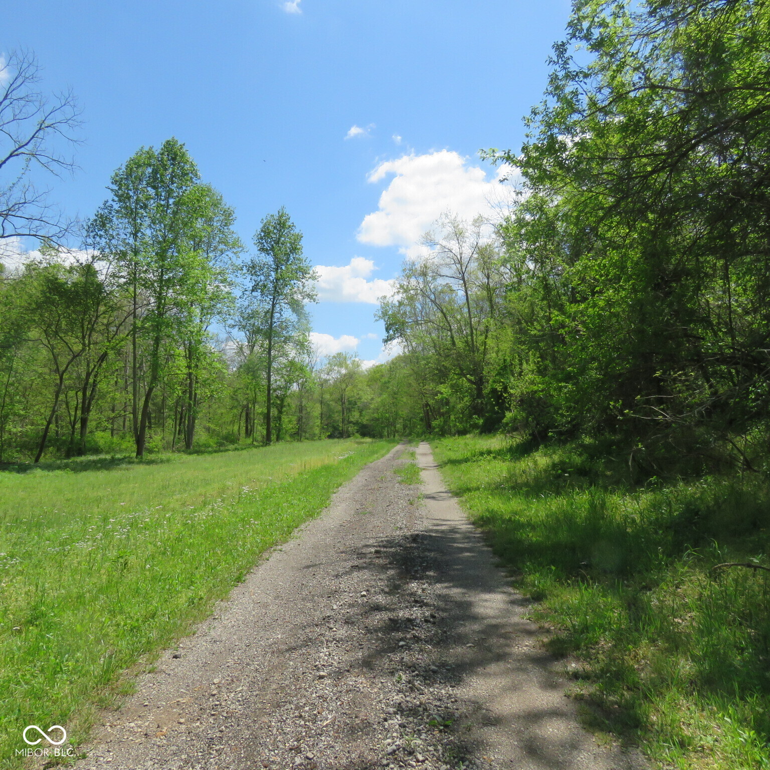 11265 Arnold Miller Road Property Photo 1