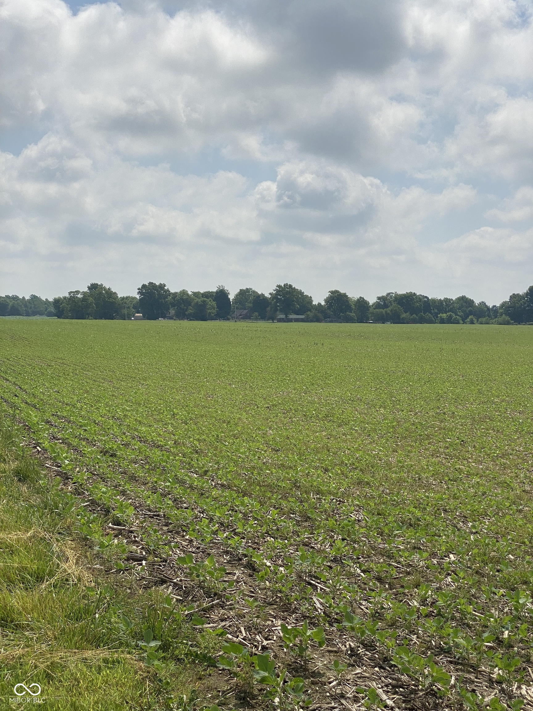 Tbd E State Road 236 Property Photo 1