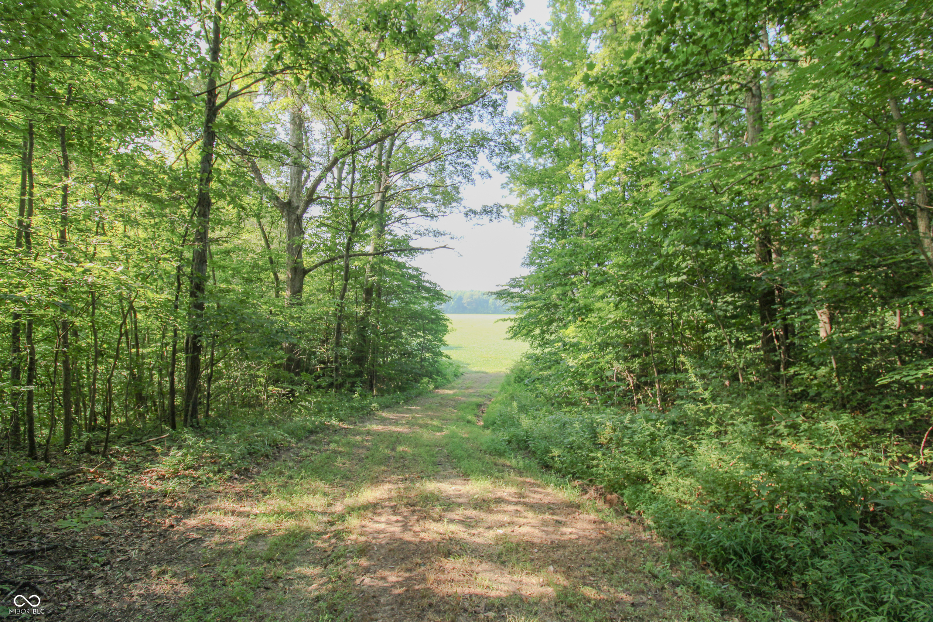 0 S County Road 650 Property Photo 1