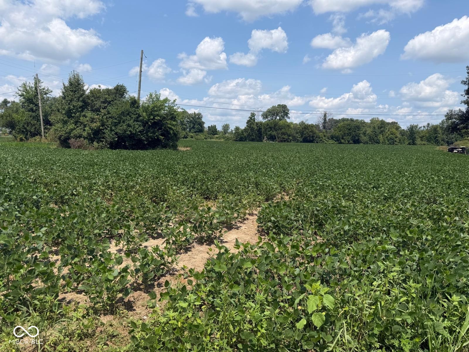 9300 Brookville Road Property Photo 1