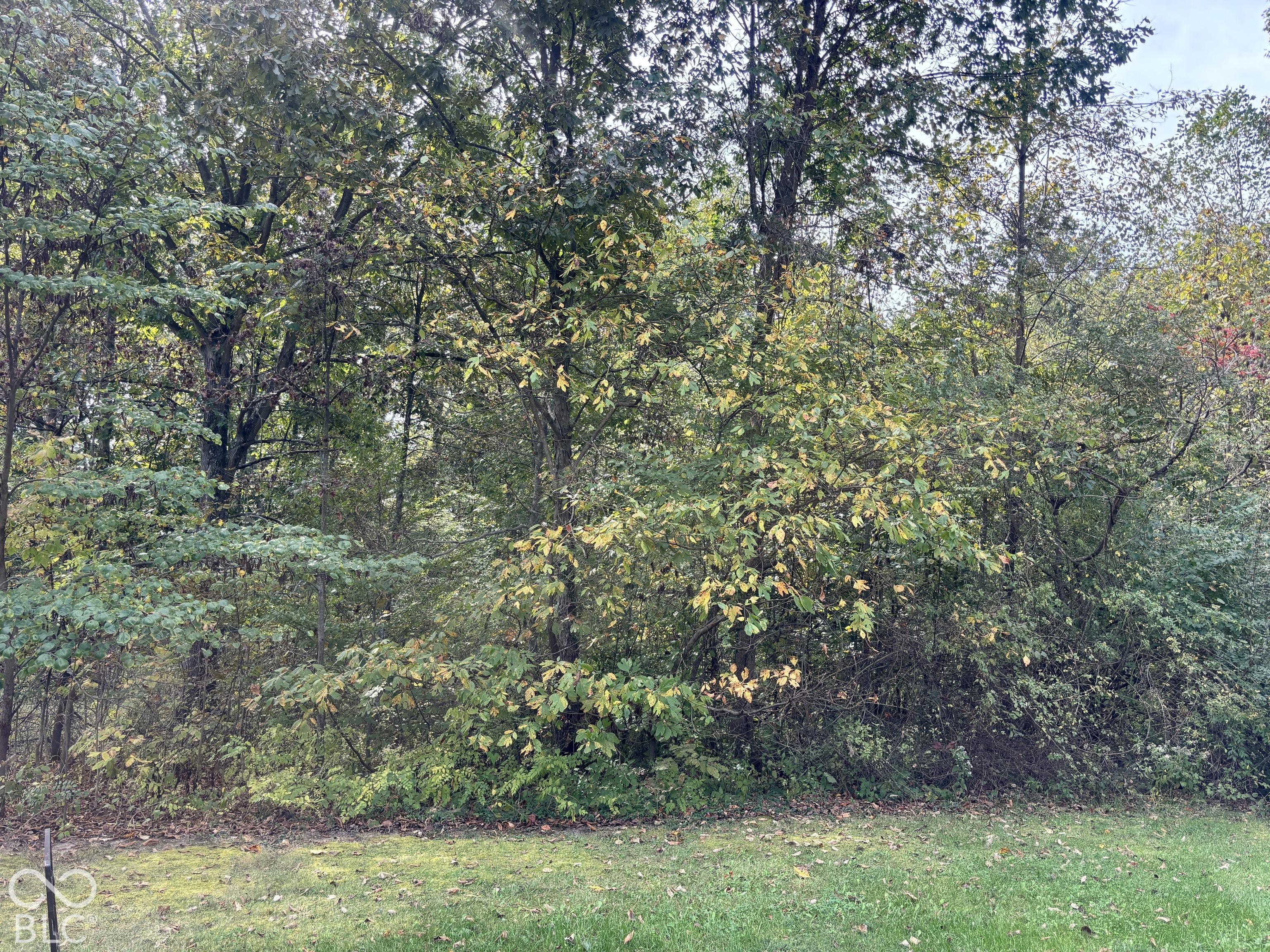 000 Critter Lane Property Photo 1