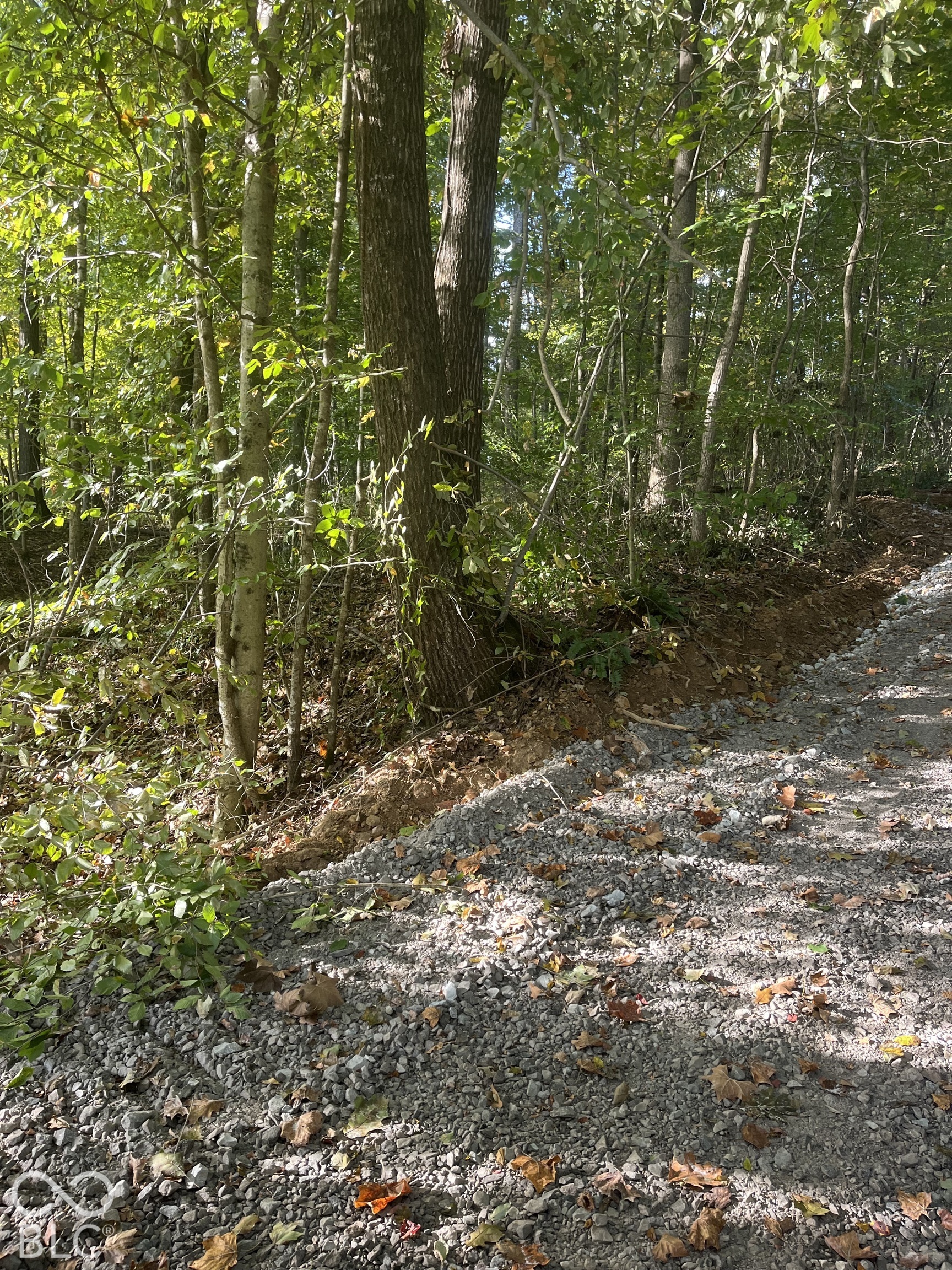 Tract 7 Sunnyside Road Property Photo 1