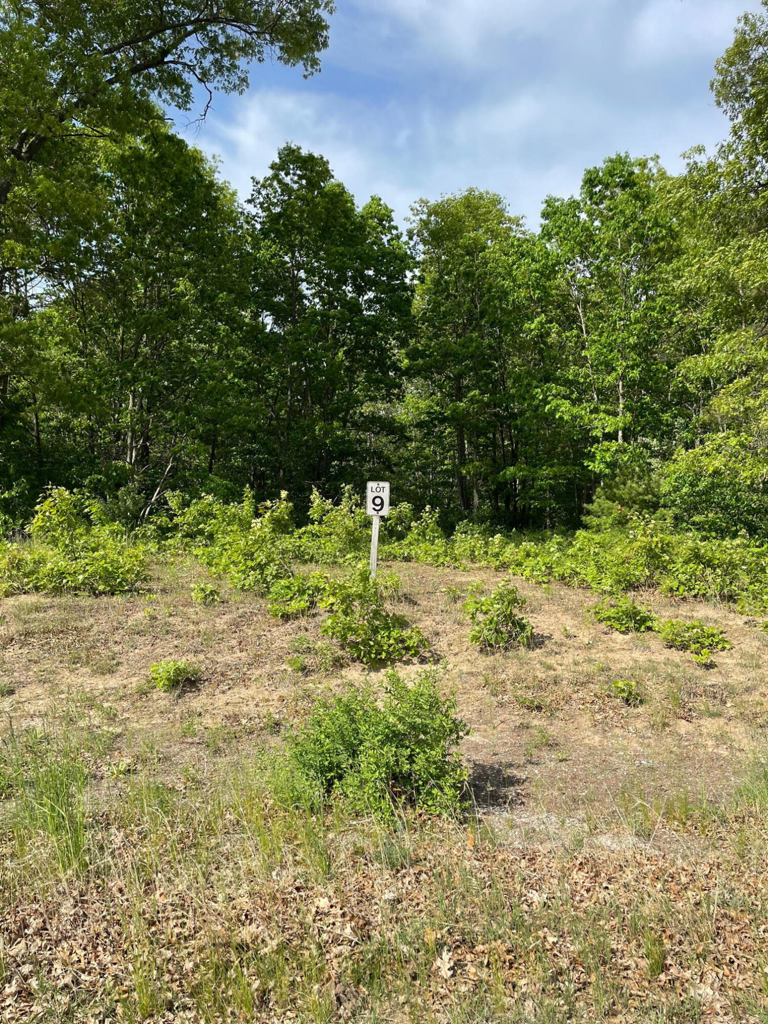 Lot 9 Renaissance Property Photo 1