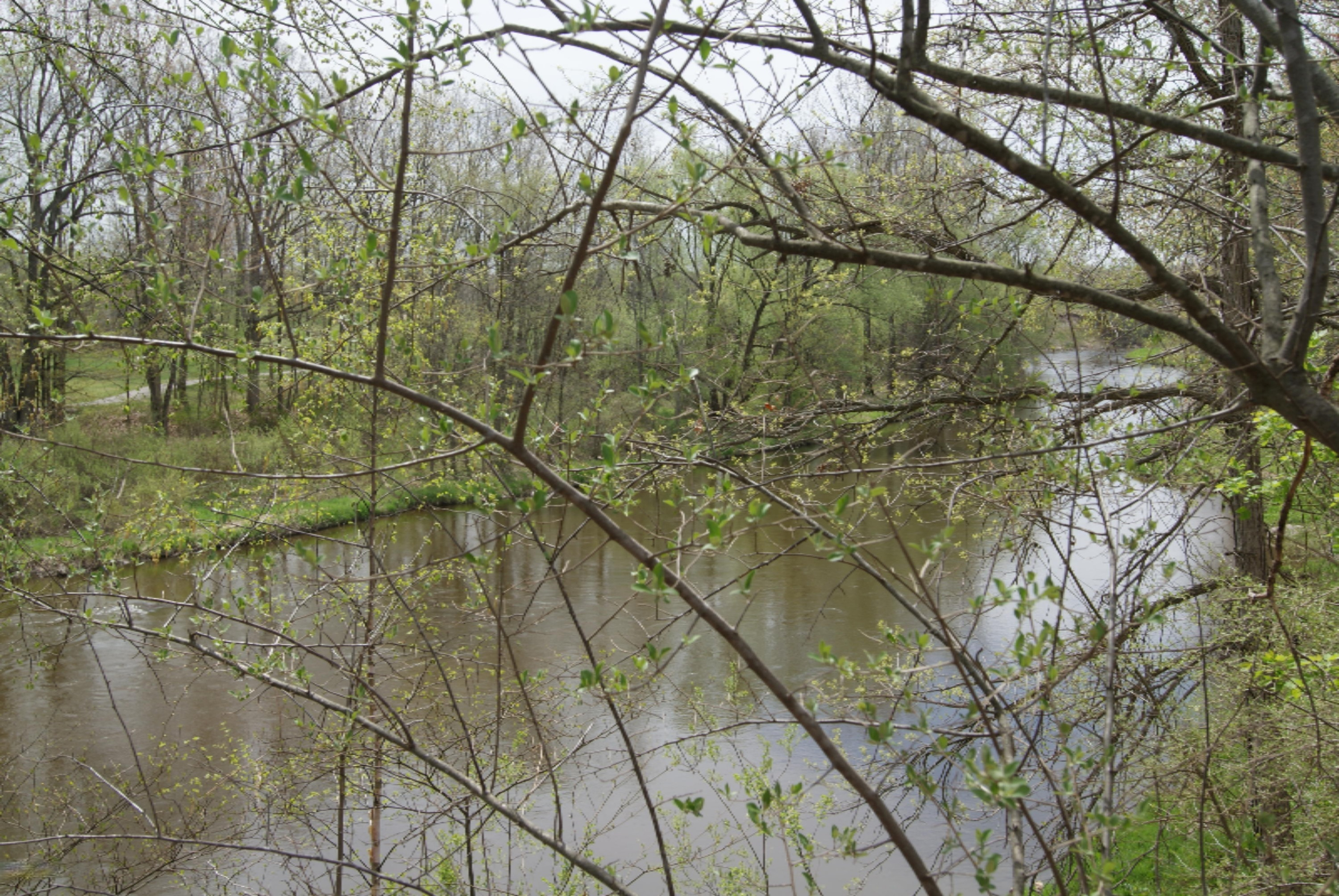 Lot 2 E River Rd Property Photo 4
