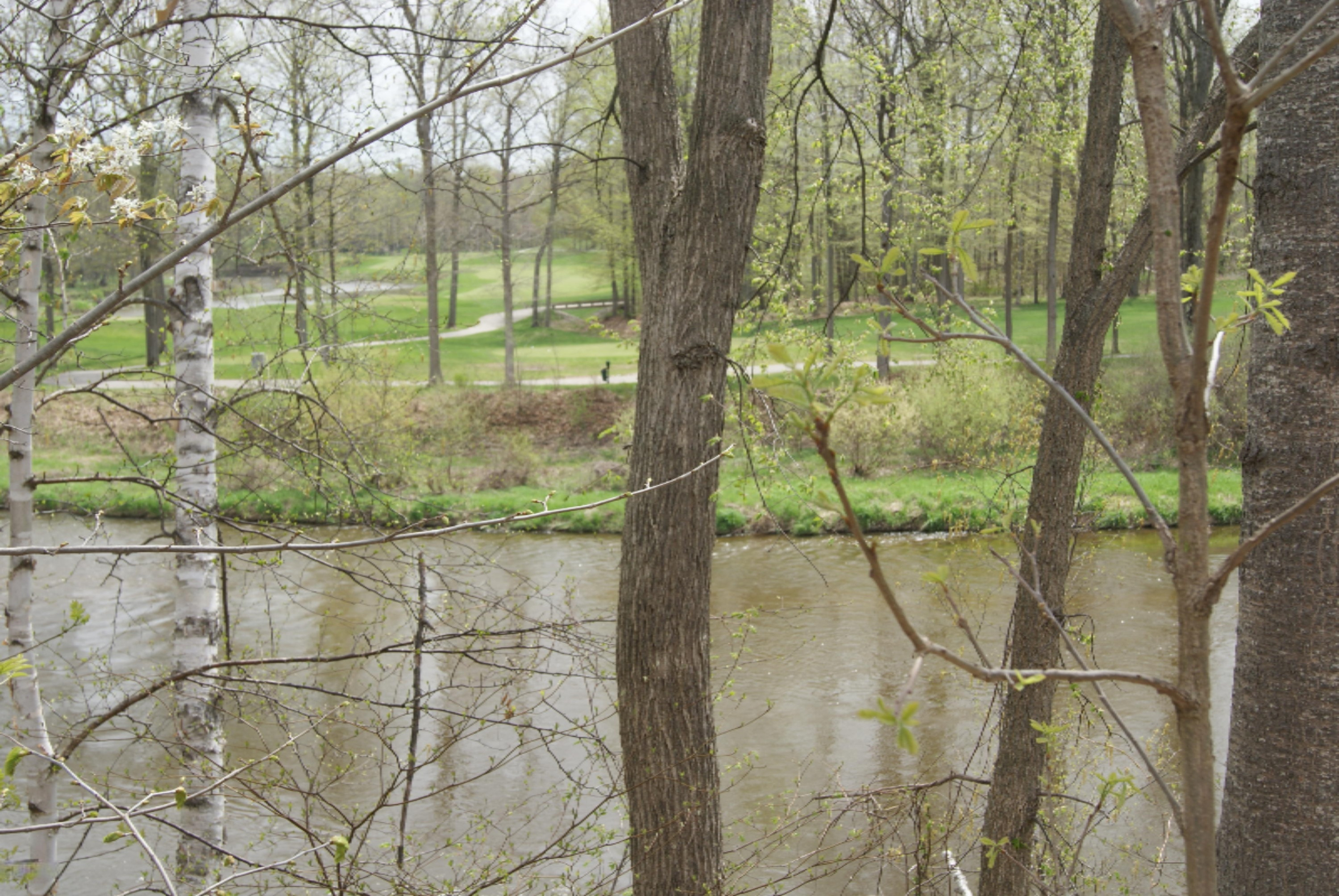 Lot 2 E River Rd Property Photo 5