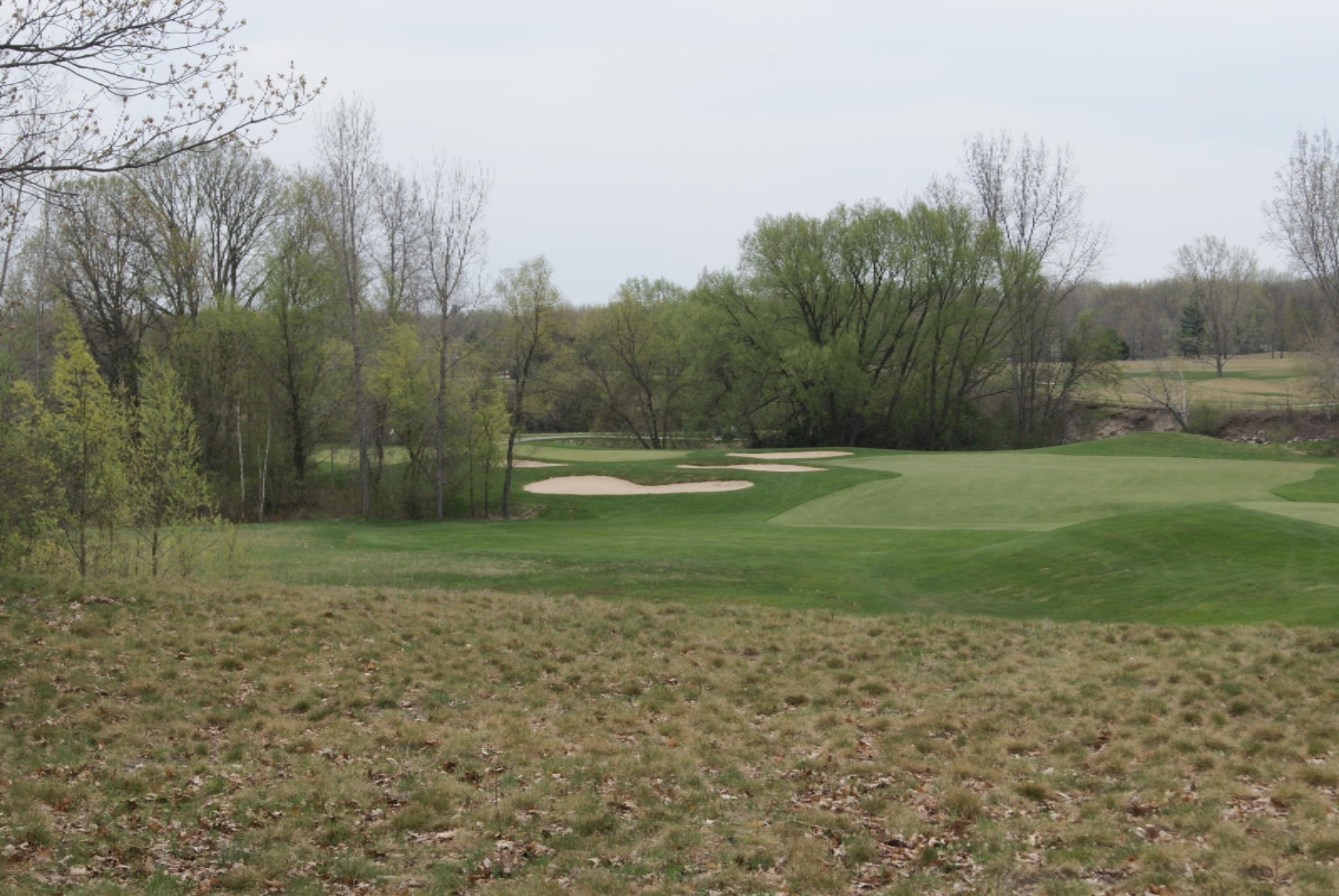 Lot 11 Whitetail Court Property Photo 5
