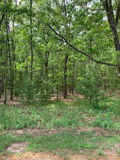 Lot 11 Lakeshore Street