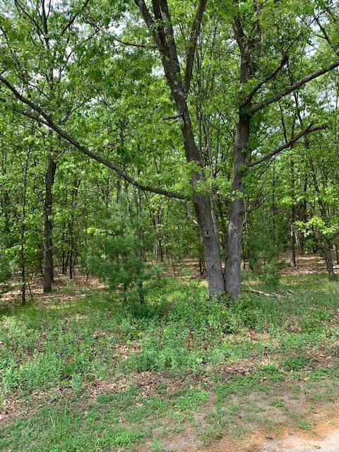 Lot 12 Lakeshore Street Property Photo 1