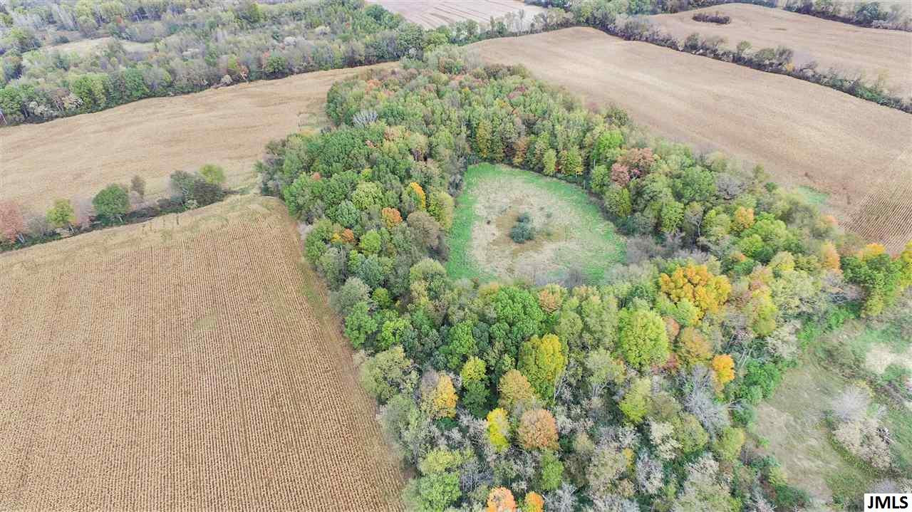 V/l S Dearing Rd, 40 Acres Vacant Land S Dearing Property Photo 29
