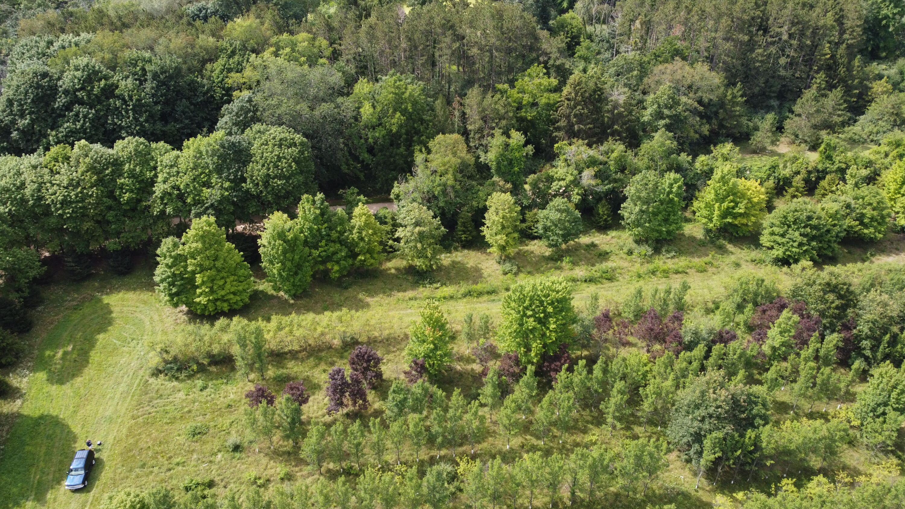 10505 18 1/2 Mile Road Property Photo 9