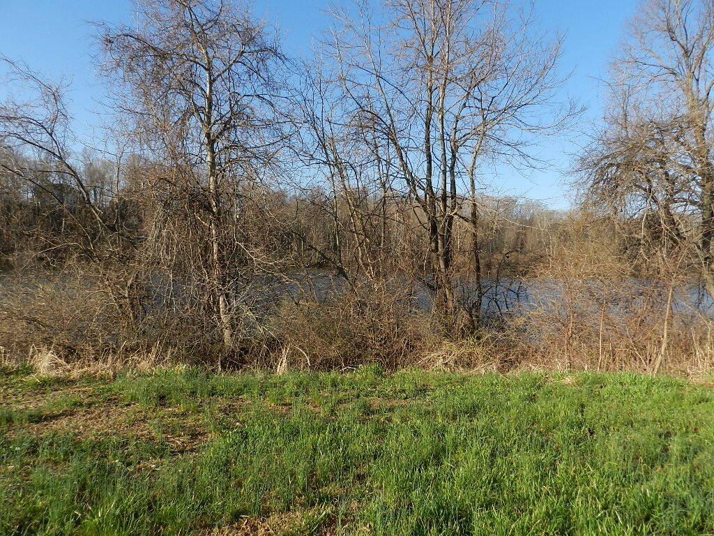 516 Swan River Drive Property Photo 1