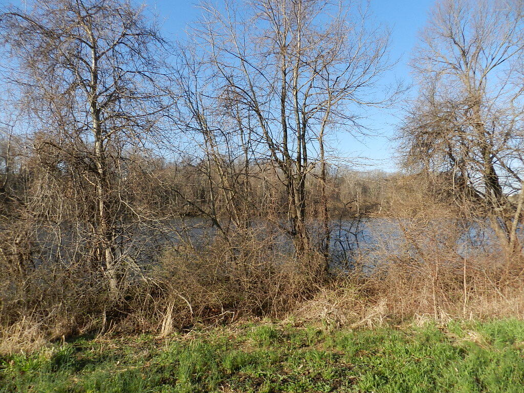 516 Swan River Drive Property Photo 2