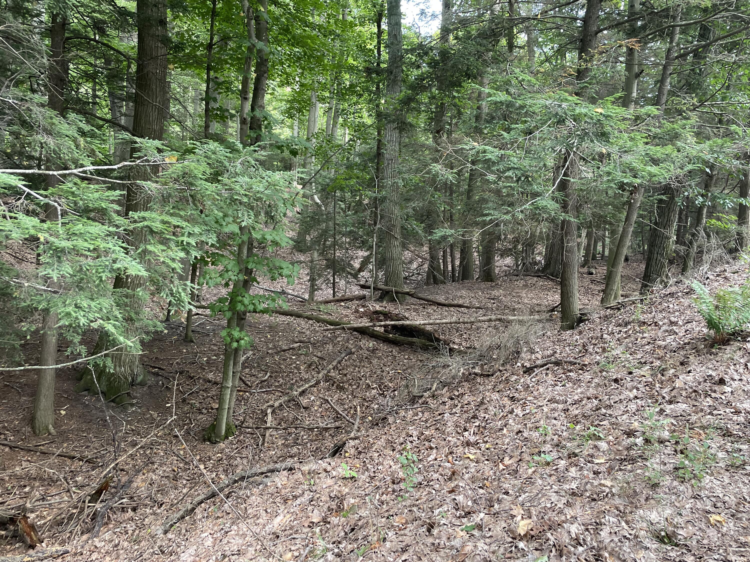 2087 S Glen Road Property Photo 25